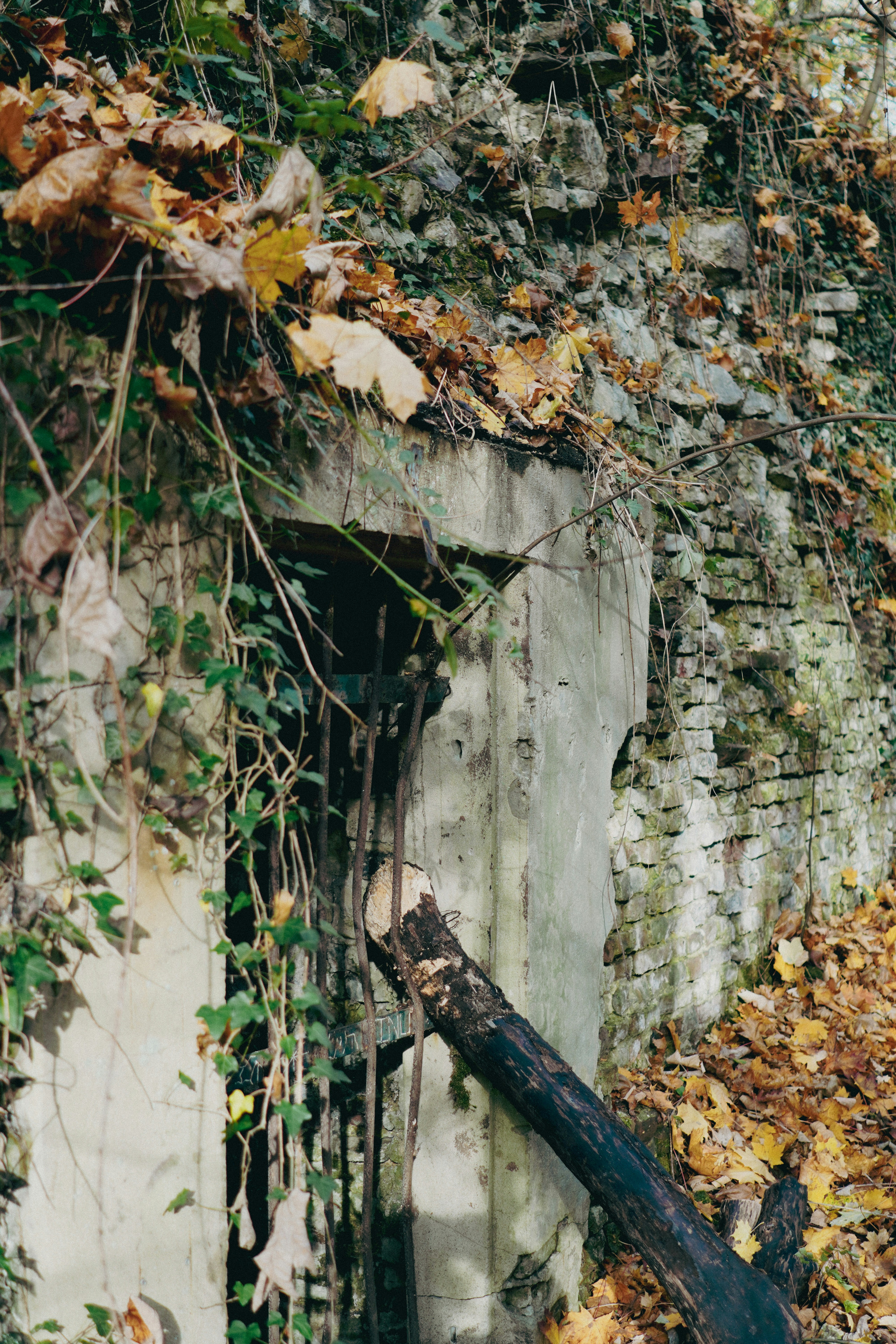 Photo by lau_cocovrard