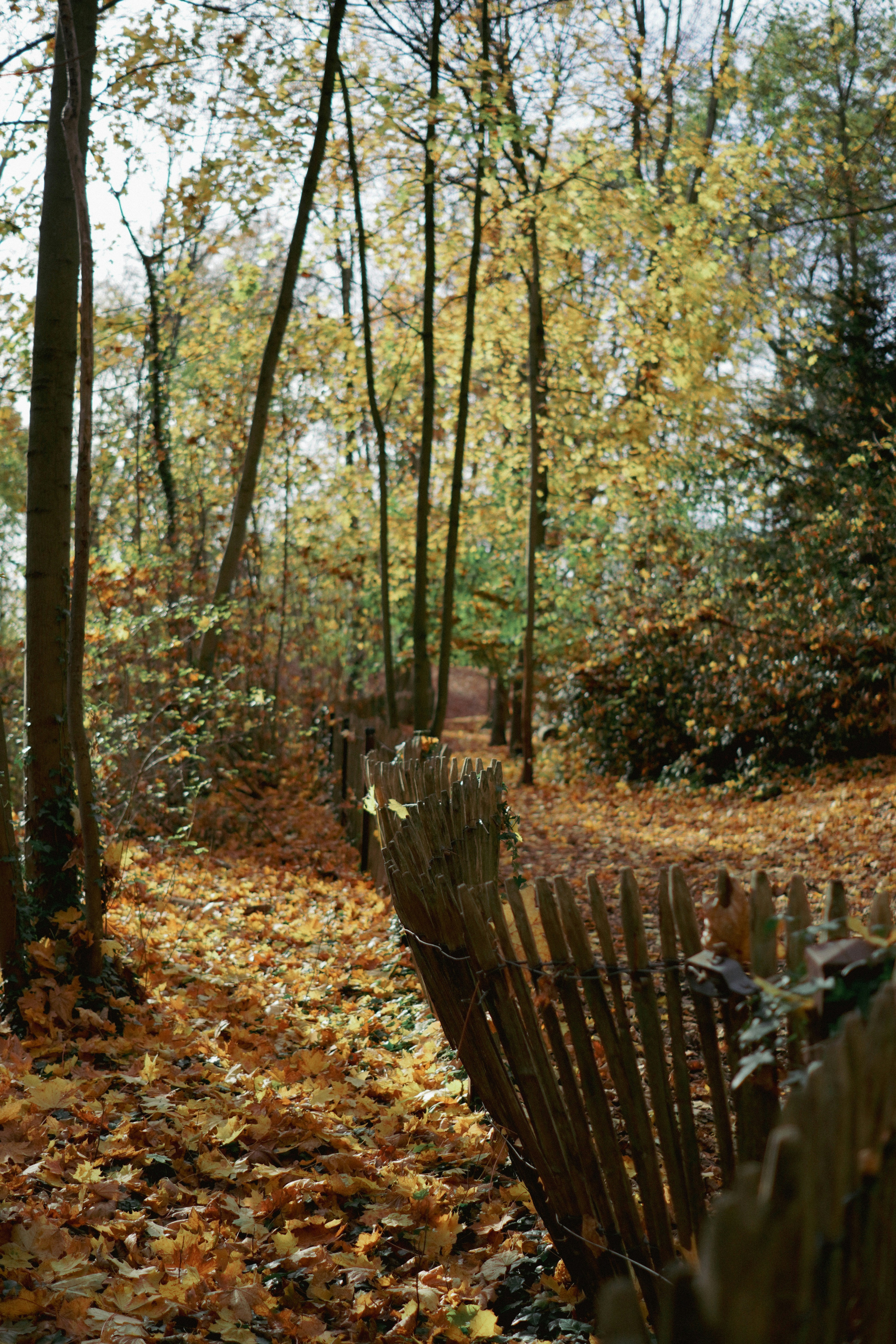 Photo by lau_cocovrard