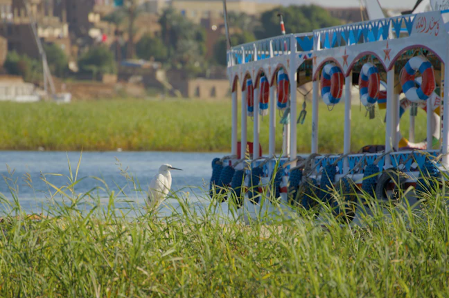 11-Day Egypt & Morocco Family Rail Itinerary