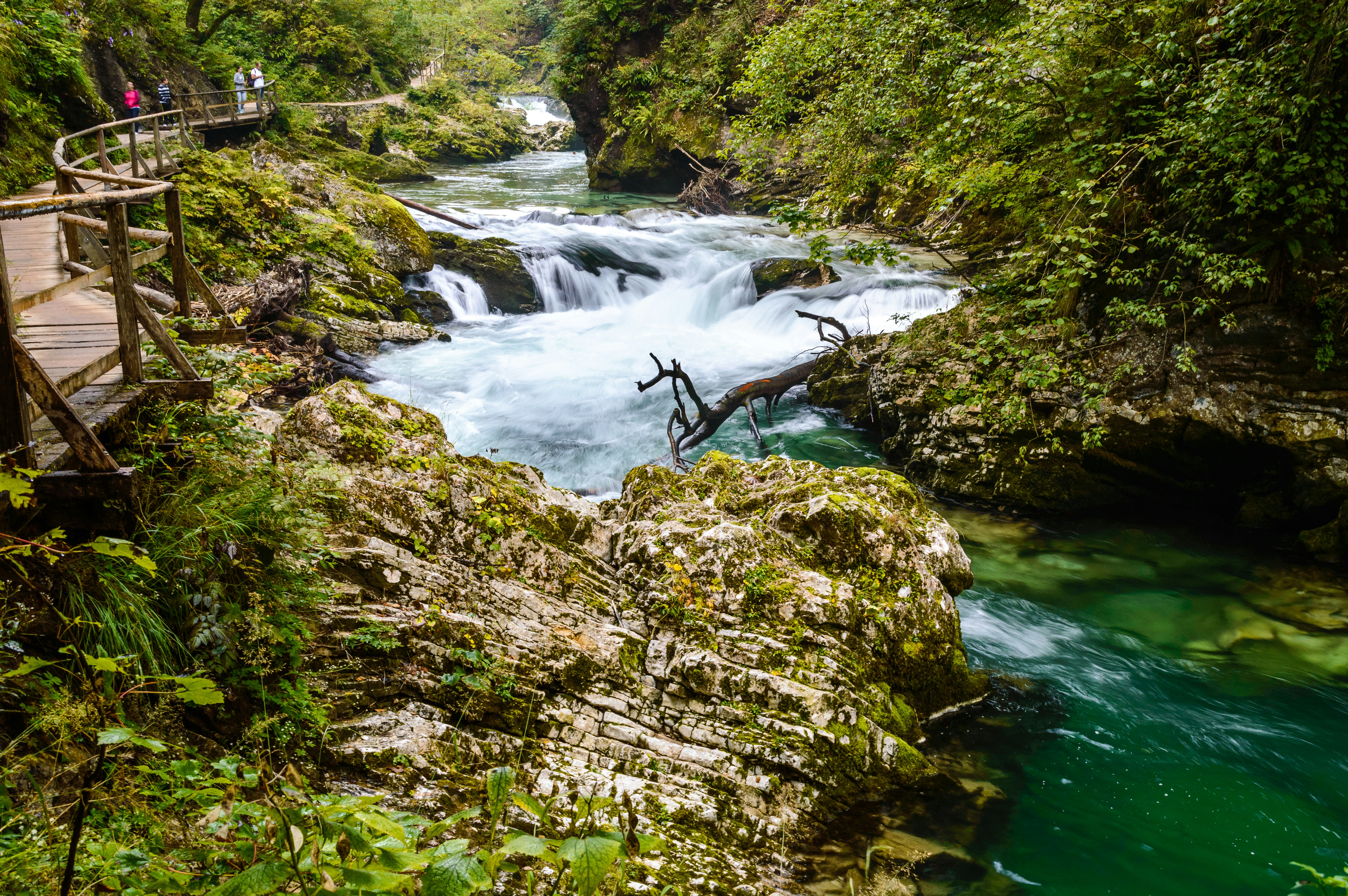 Photo by johnny_slav