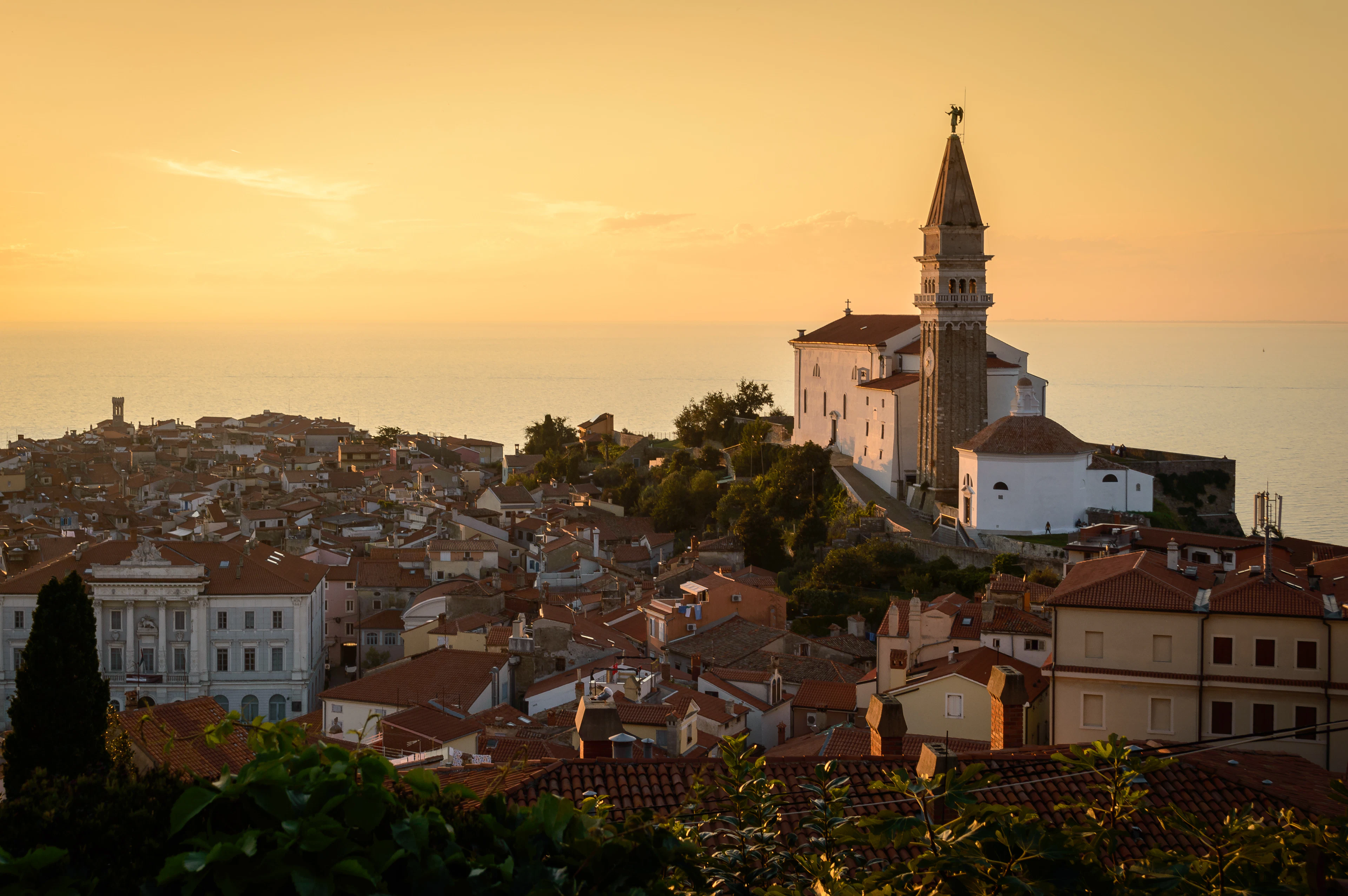 The old-town roofs of Piran and the bell tower of St George's church in sunset light