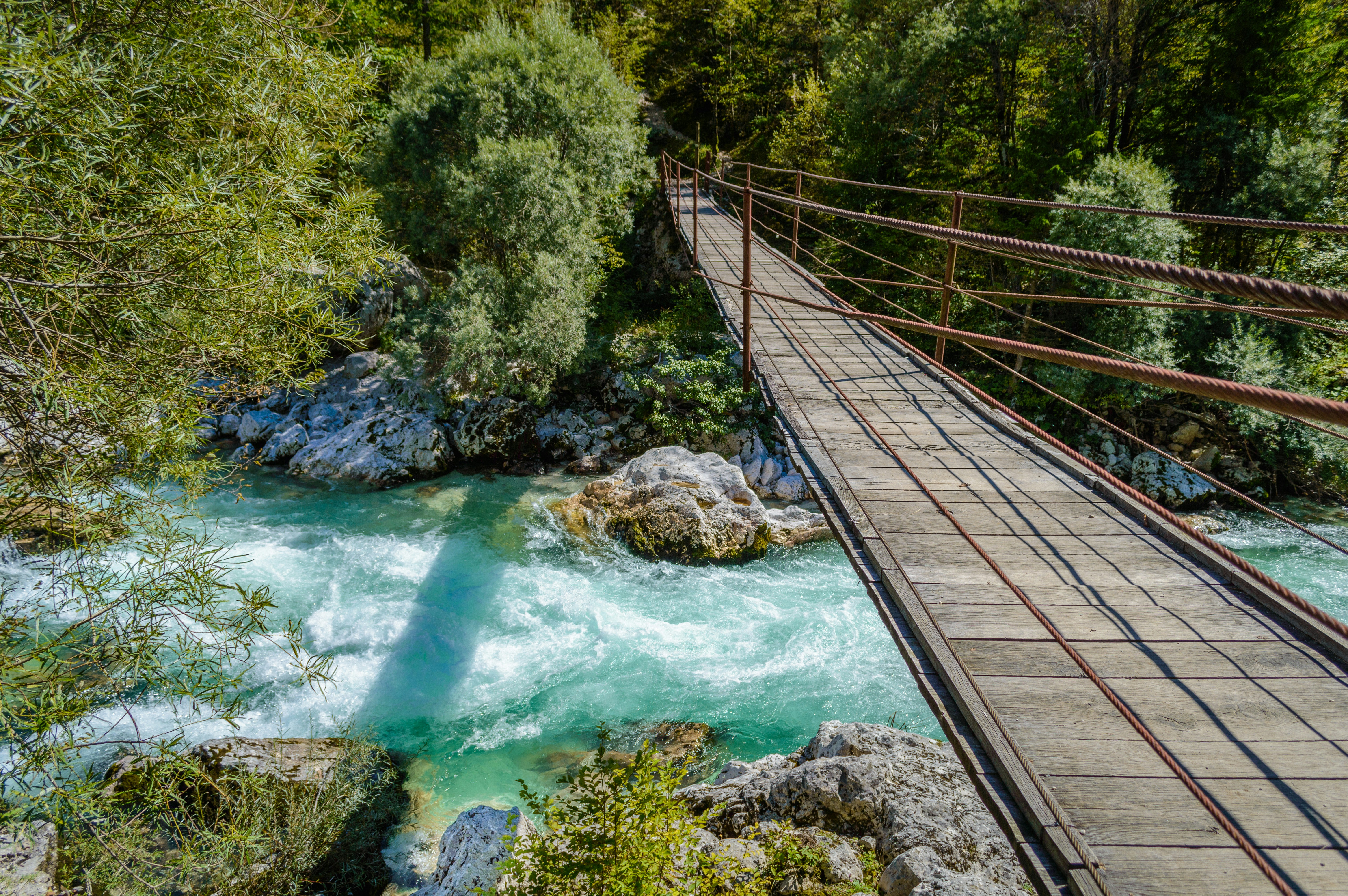 Photo by johnny_slav