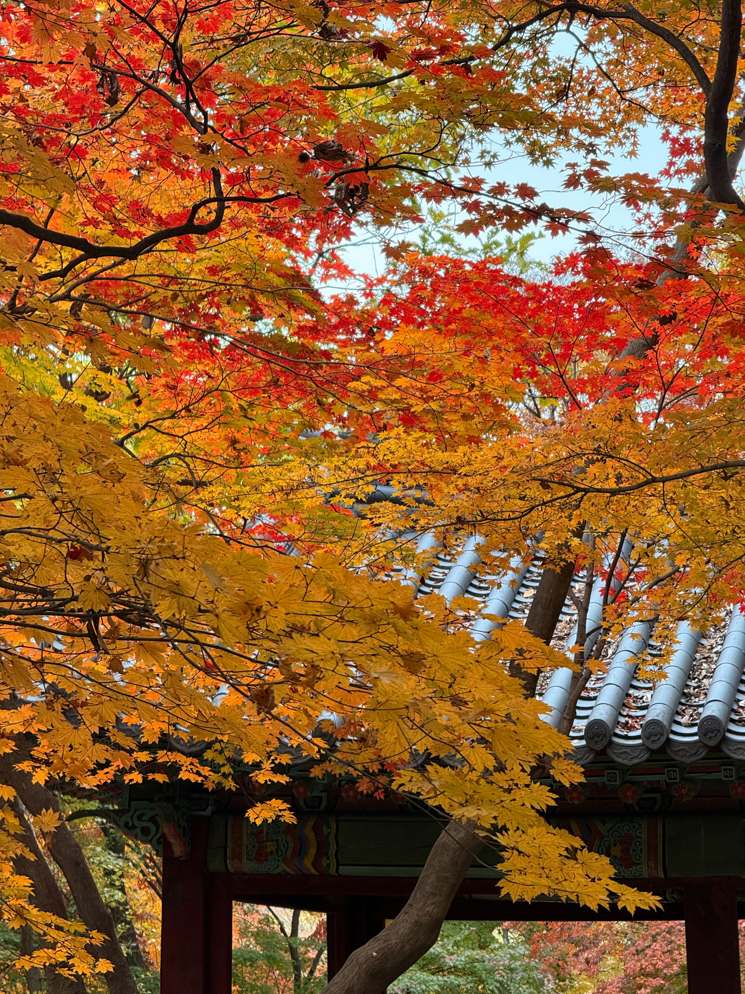 Photo by hong_amateurish