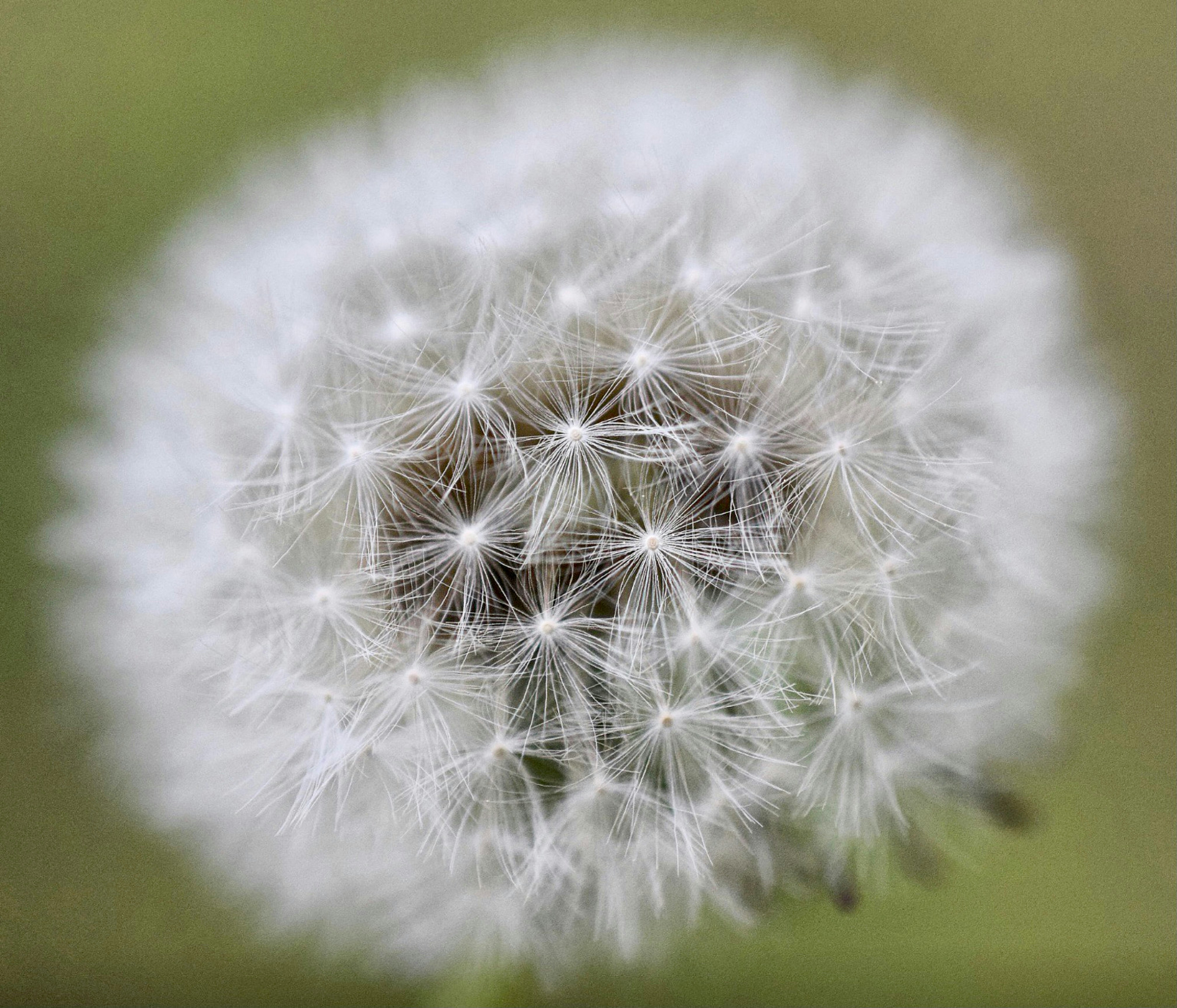 Photo by bellasuite14