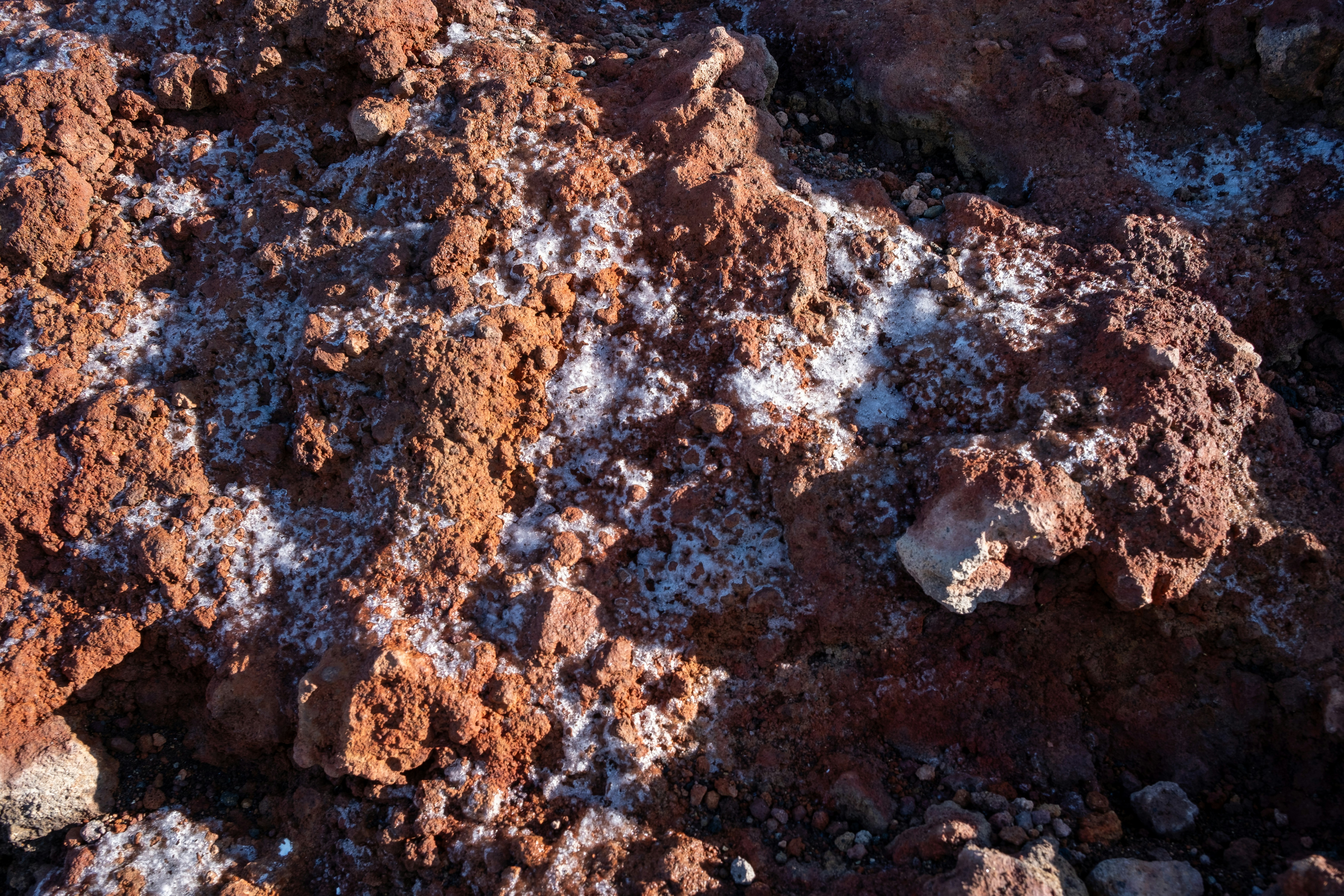 Photo by johnny_slav