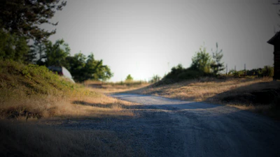Terreno, foto 3
