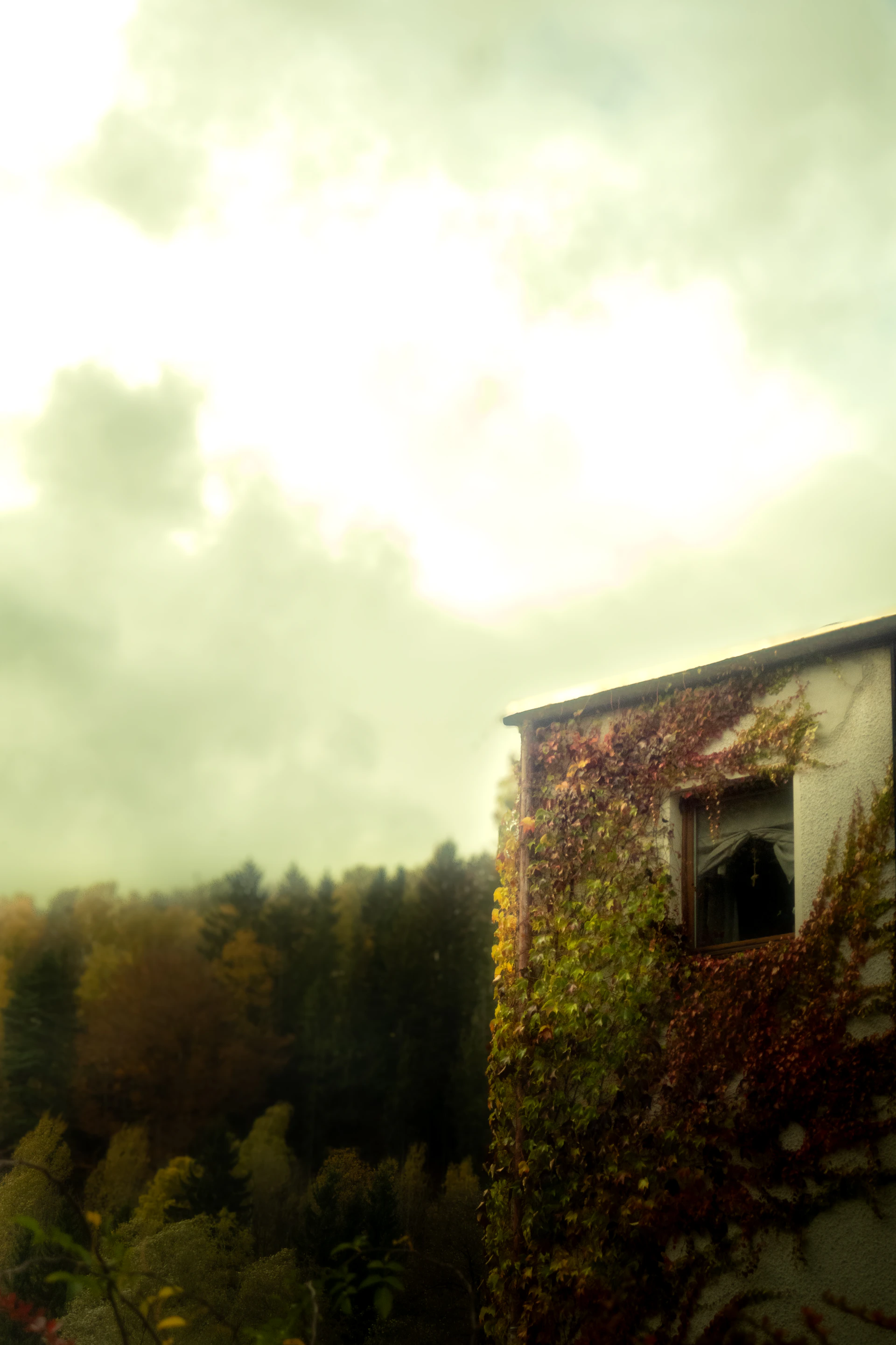 Ivy covered building with autumn trees and cloudy sky