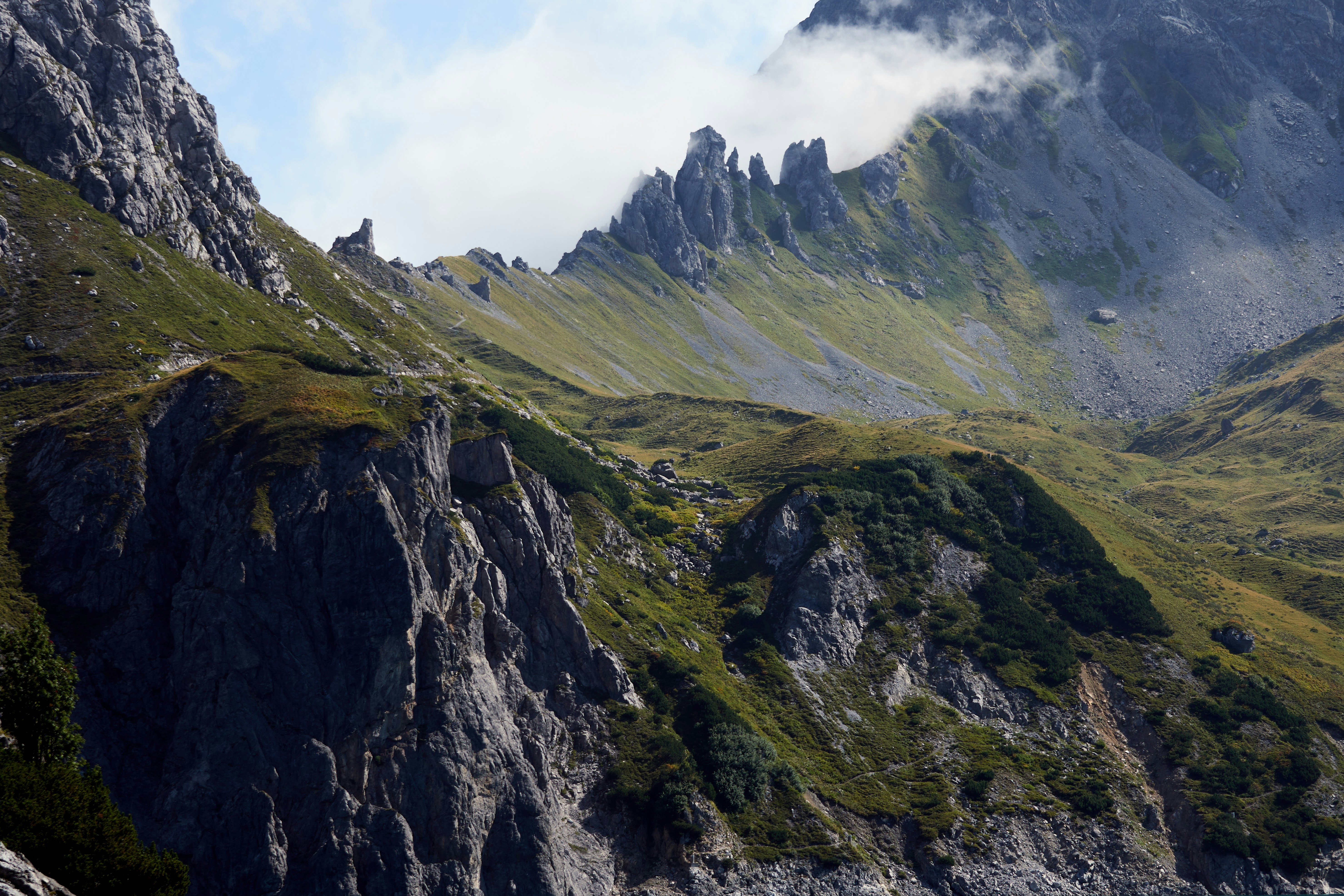 Photo by wolfgang_hasselmann