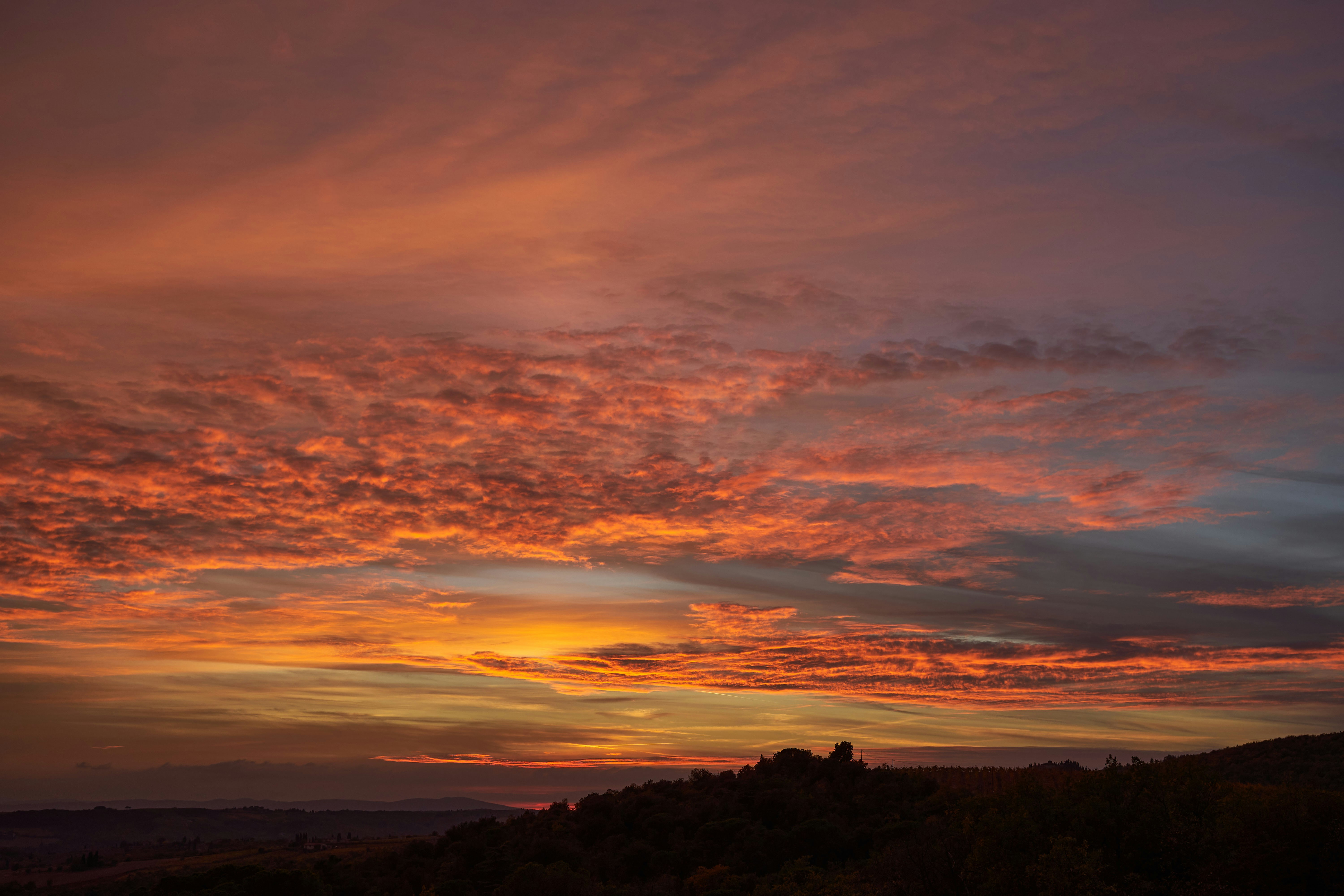 Photo by wolfgang_hasselmann