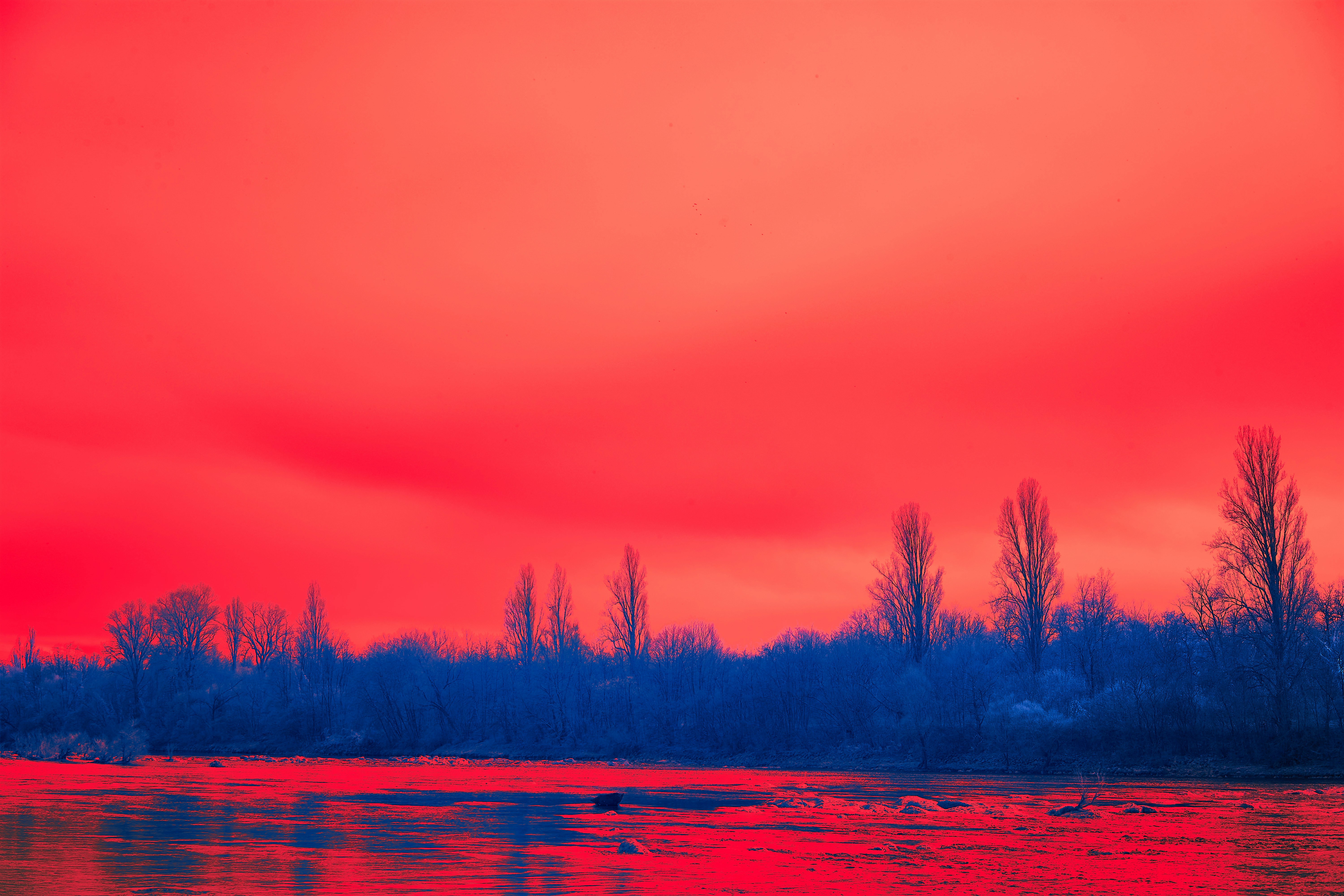 Photo by wolfgang_hasselmann