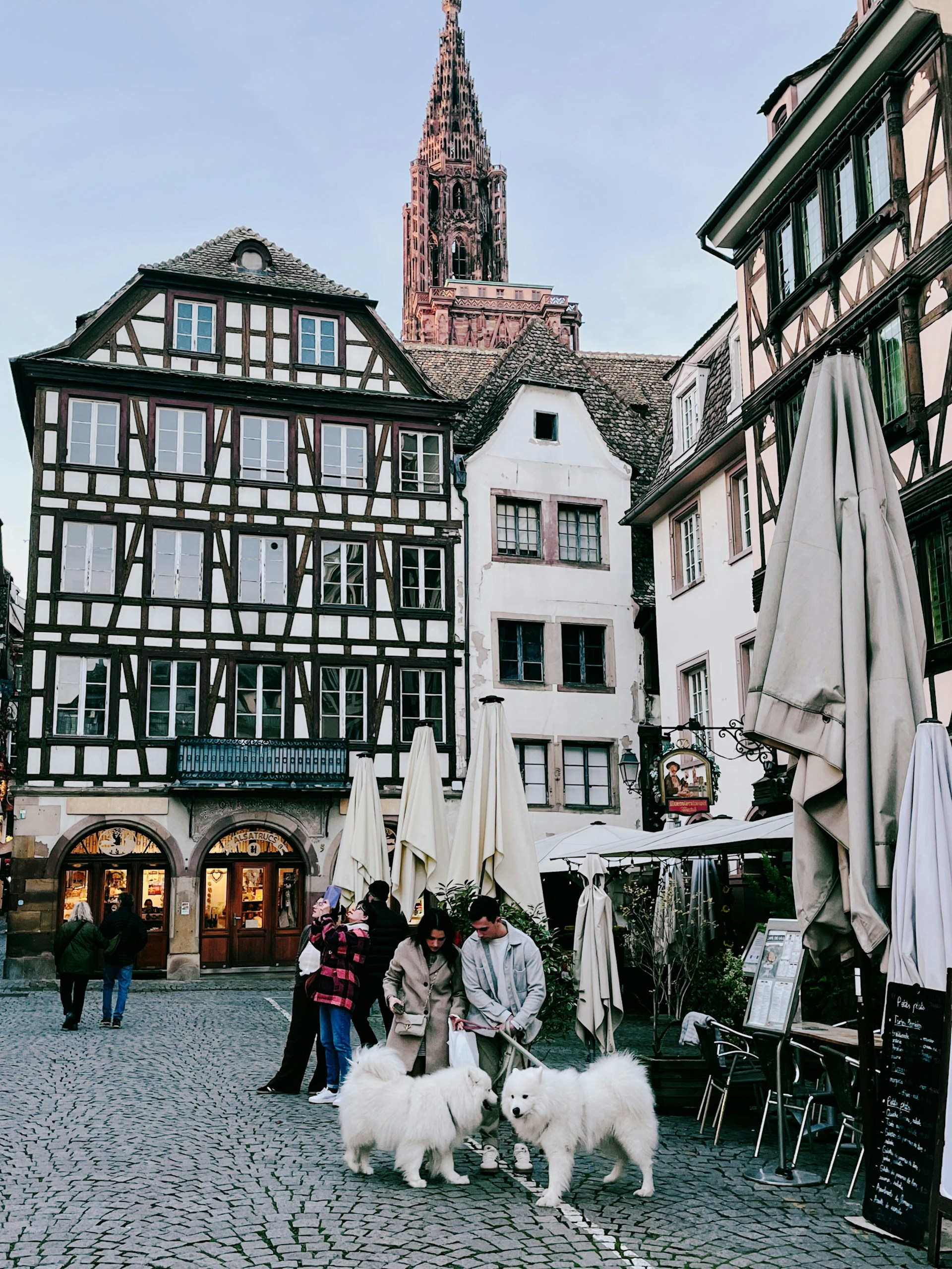 People and dogs in a european town square