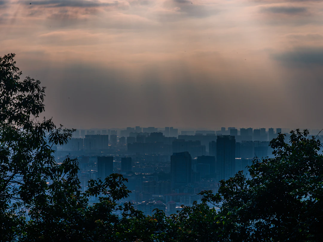 Guangzhou 4-Day Budget Itinerary: Backpacker's Guide