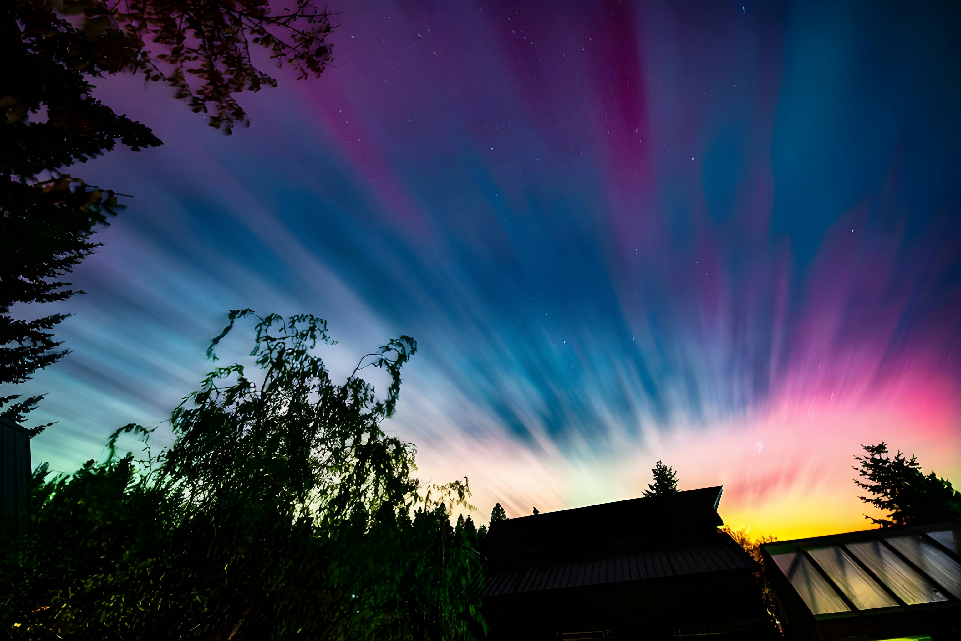 Colorful aurora borealis illuminates the night sky above trees.