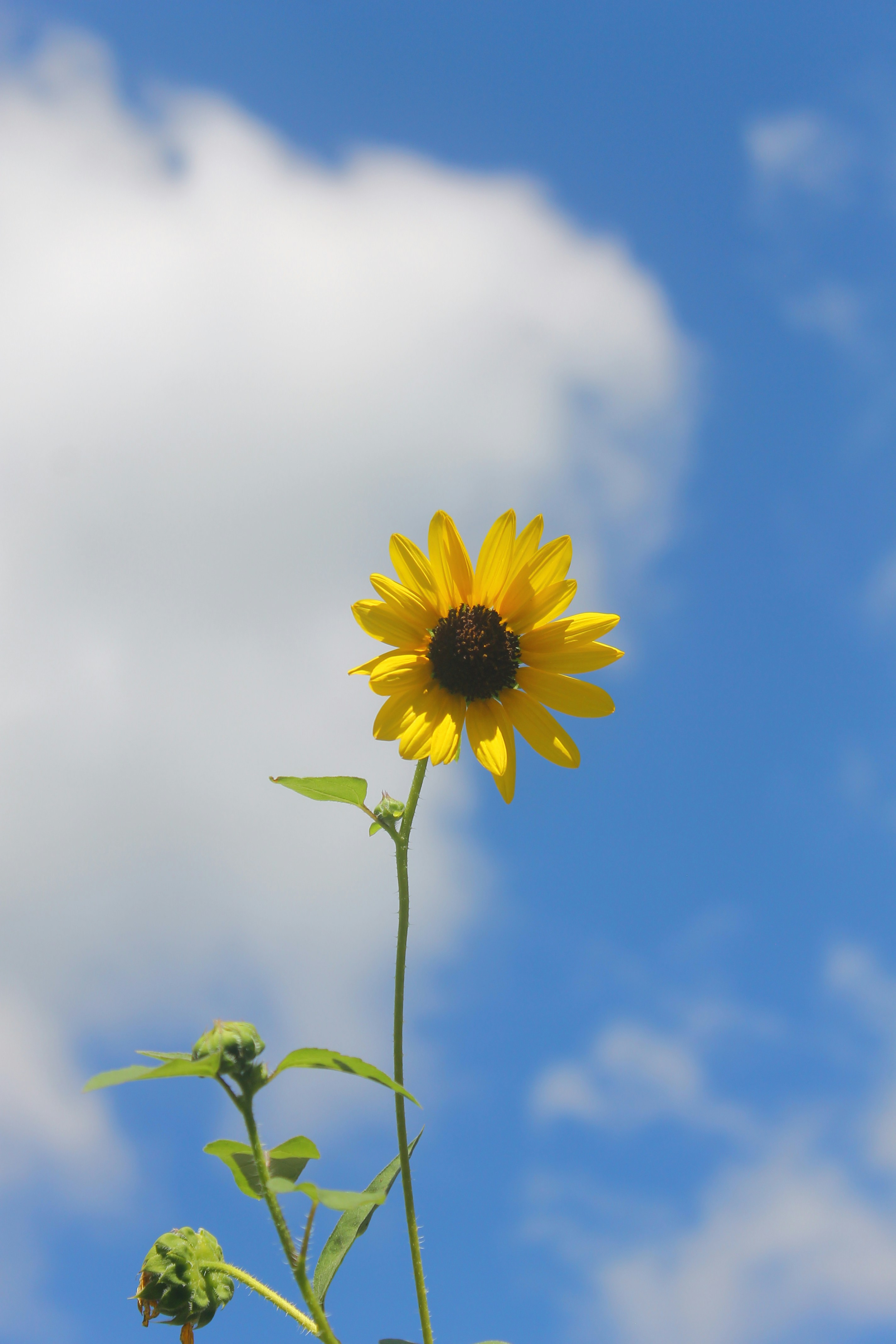 Photo by oilbird_productions