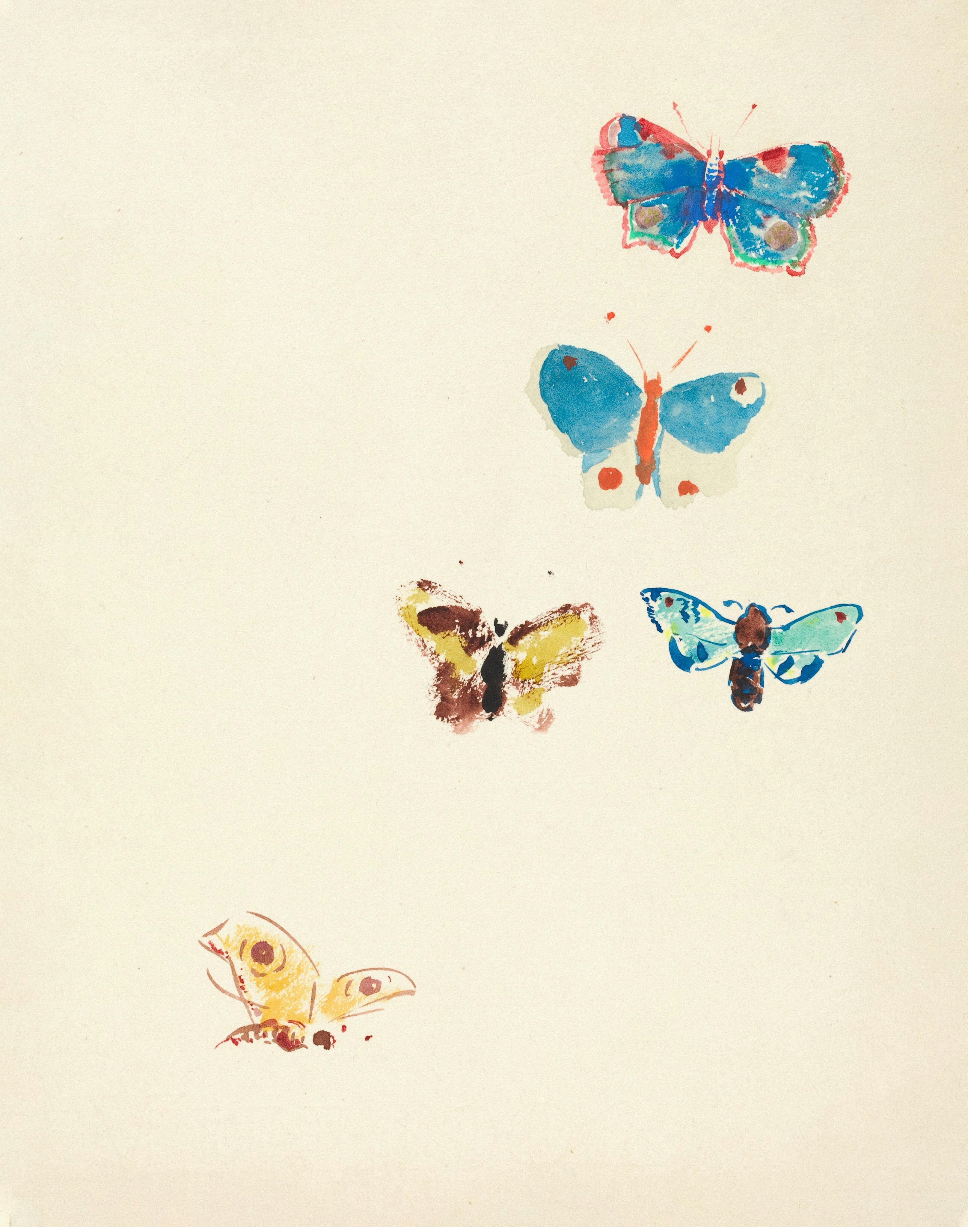watercolor butterfly wallpaper, wallpaper, Easy Butterfly Crafts for Adults: Creative Ideas 5