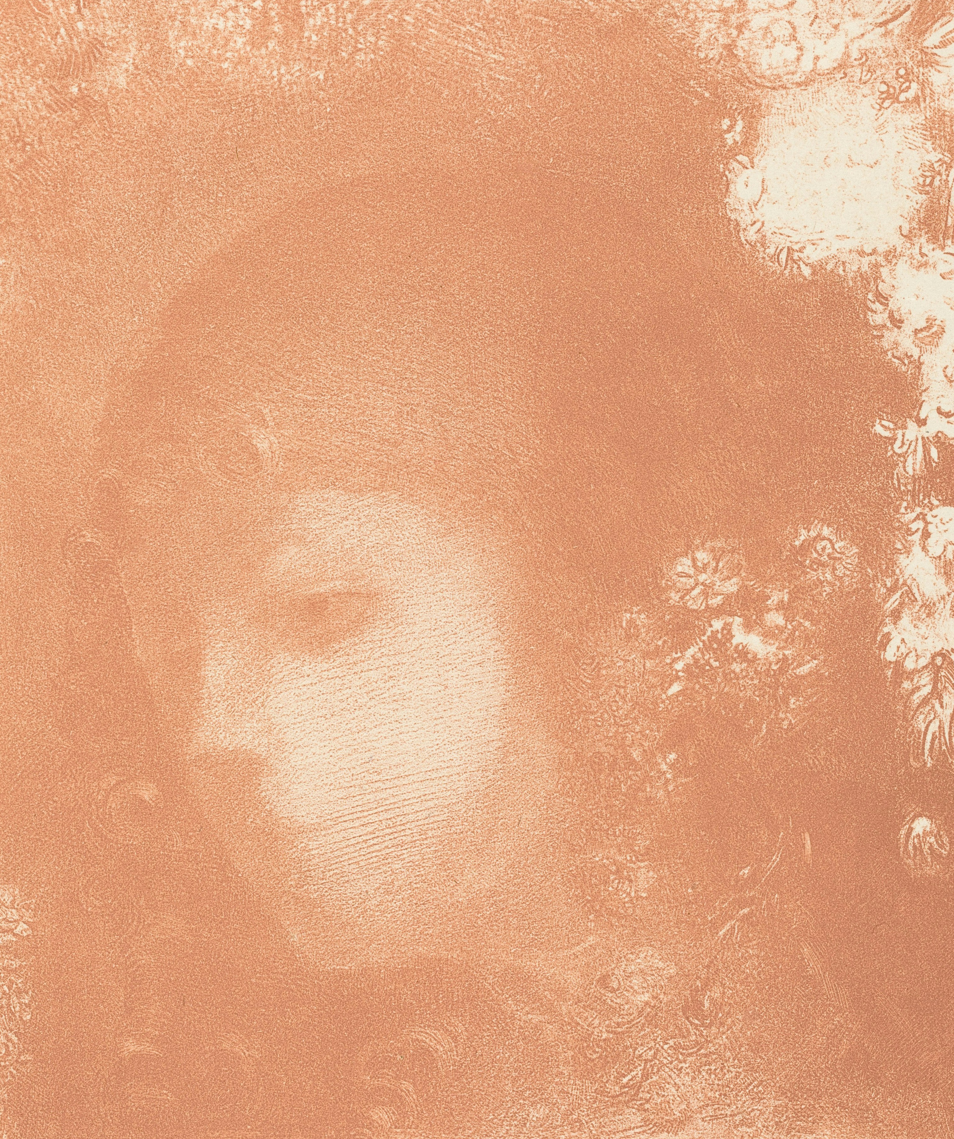 A profile of a woman with flowers in sepia tones