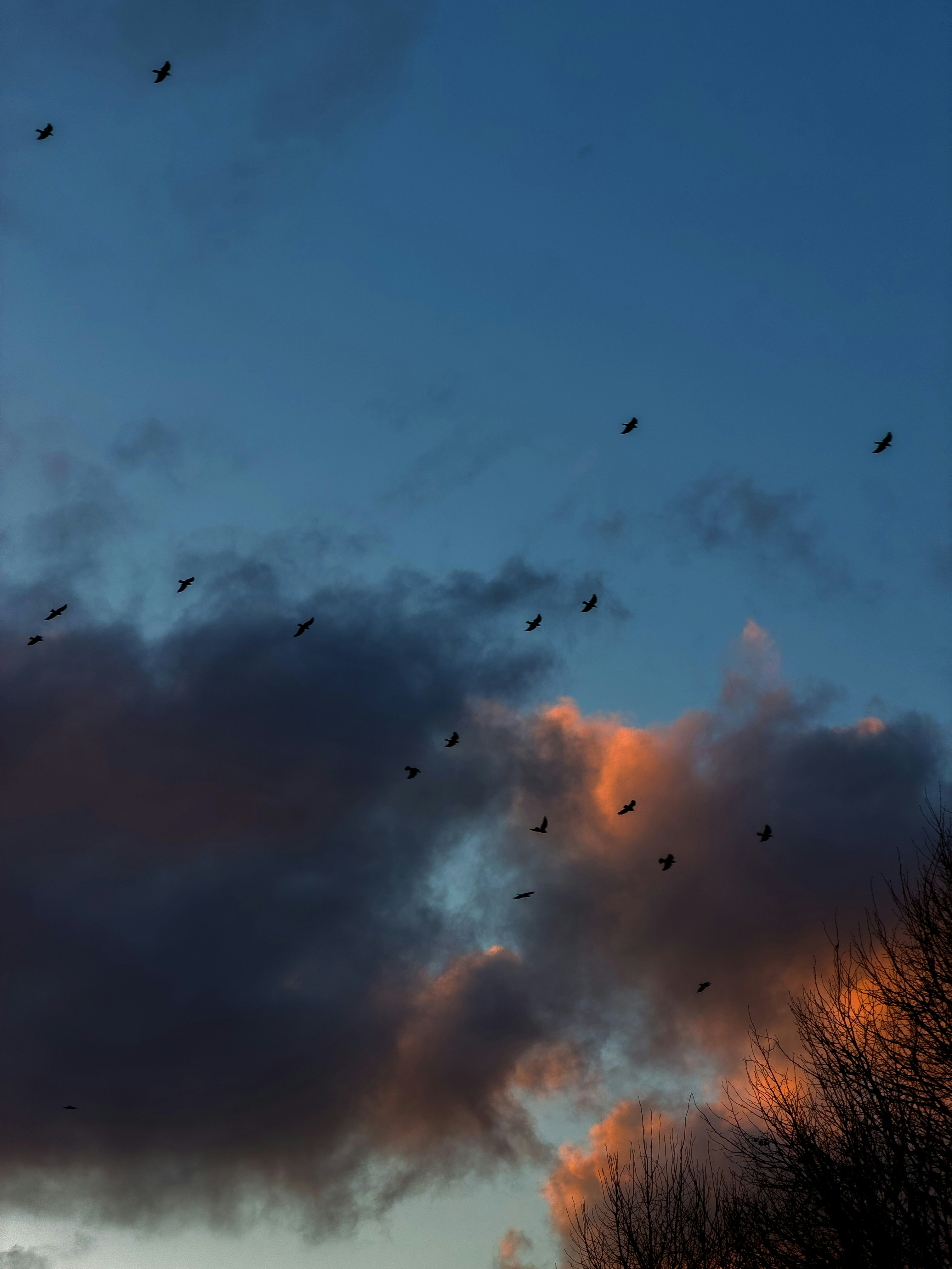 Photo by brett_jordan