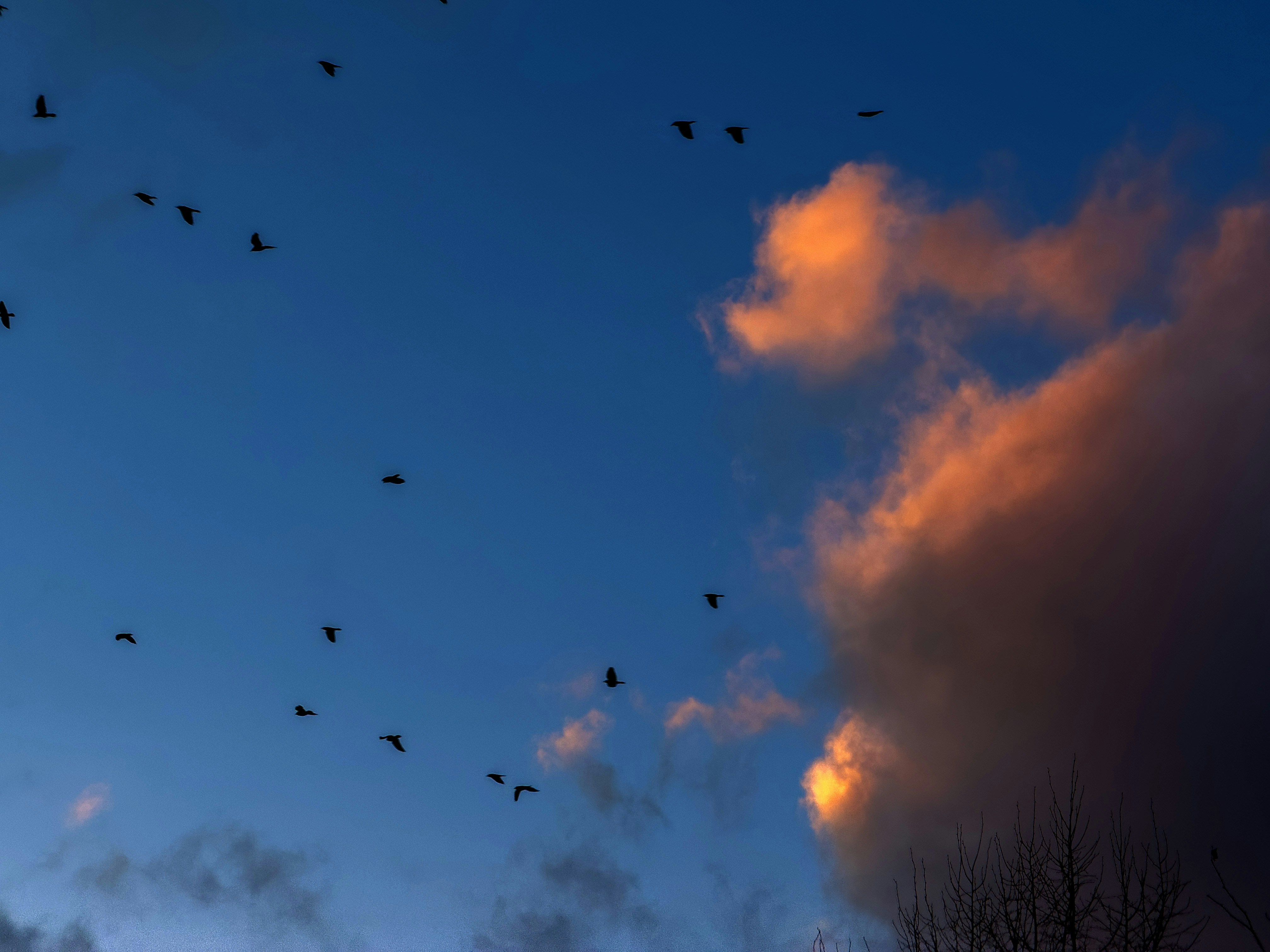 Photo by brett_jordan