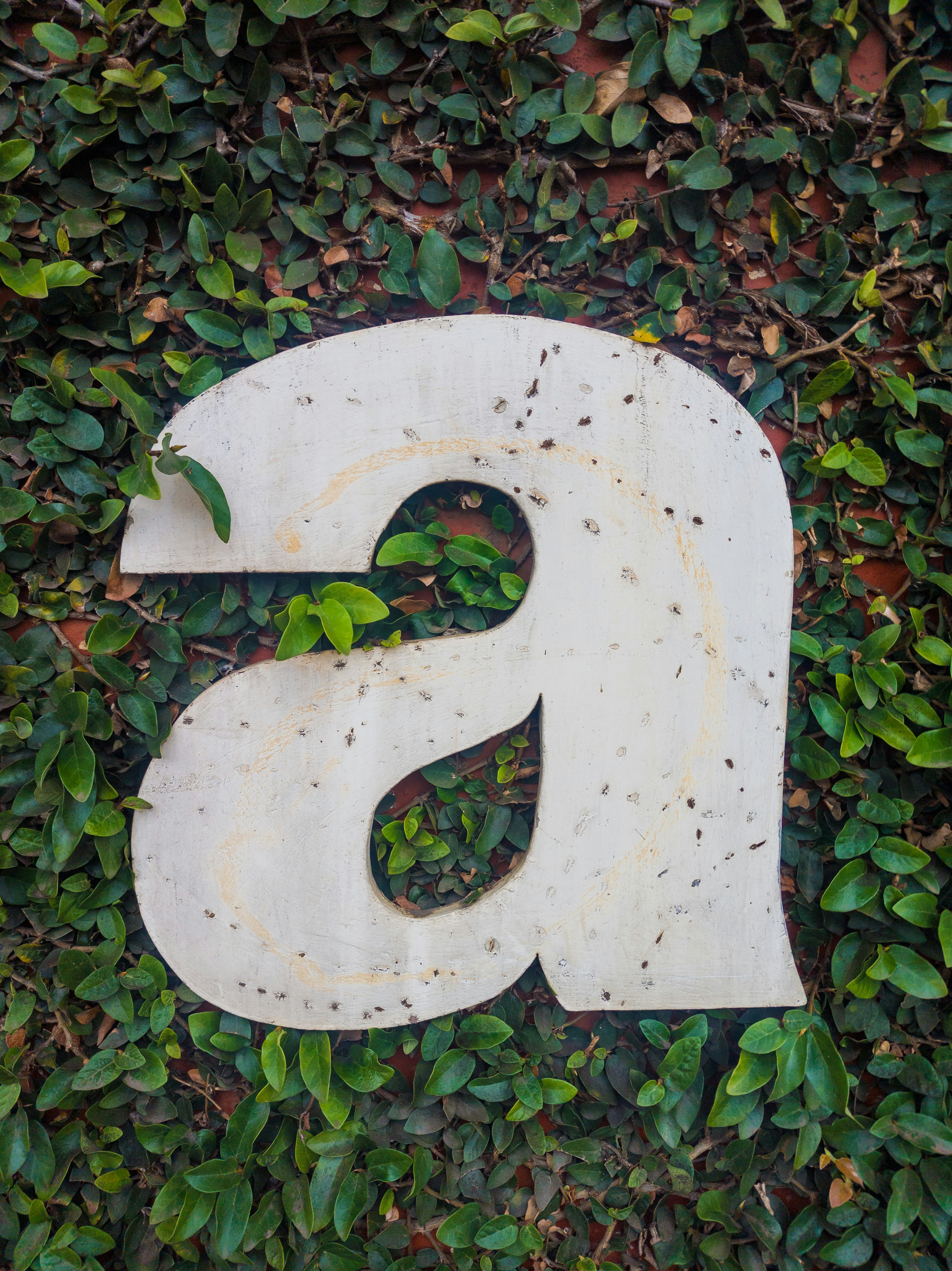 Картинка за статичен екран