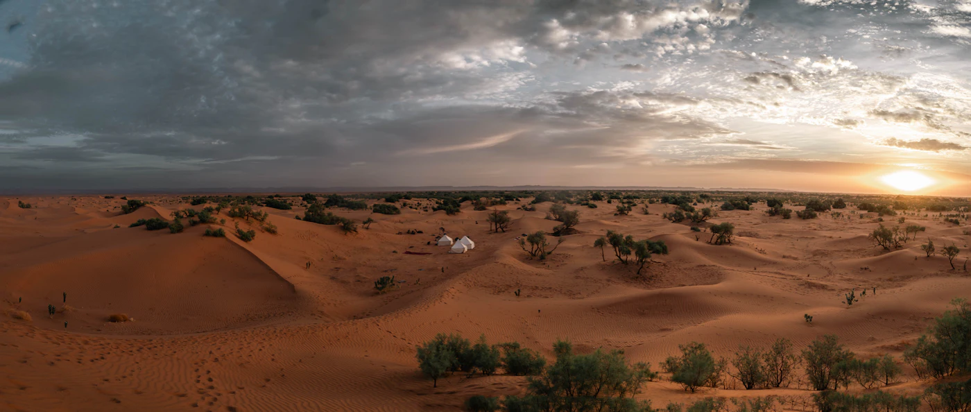 Wanderdünen der Sahara im Abendlicht