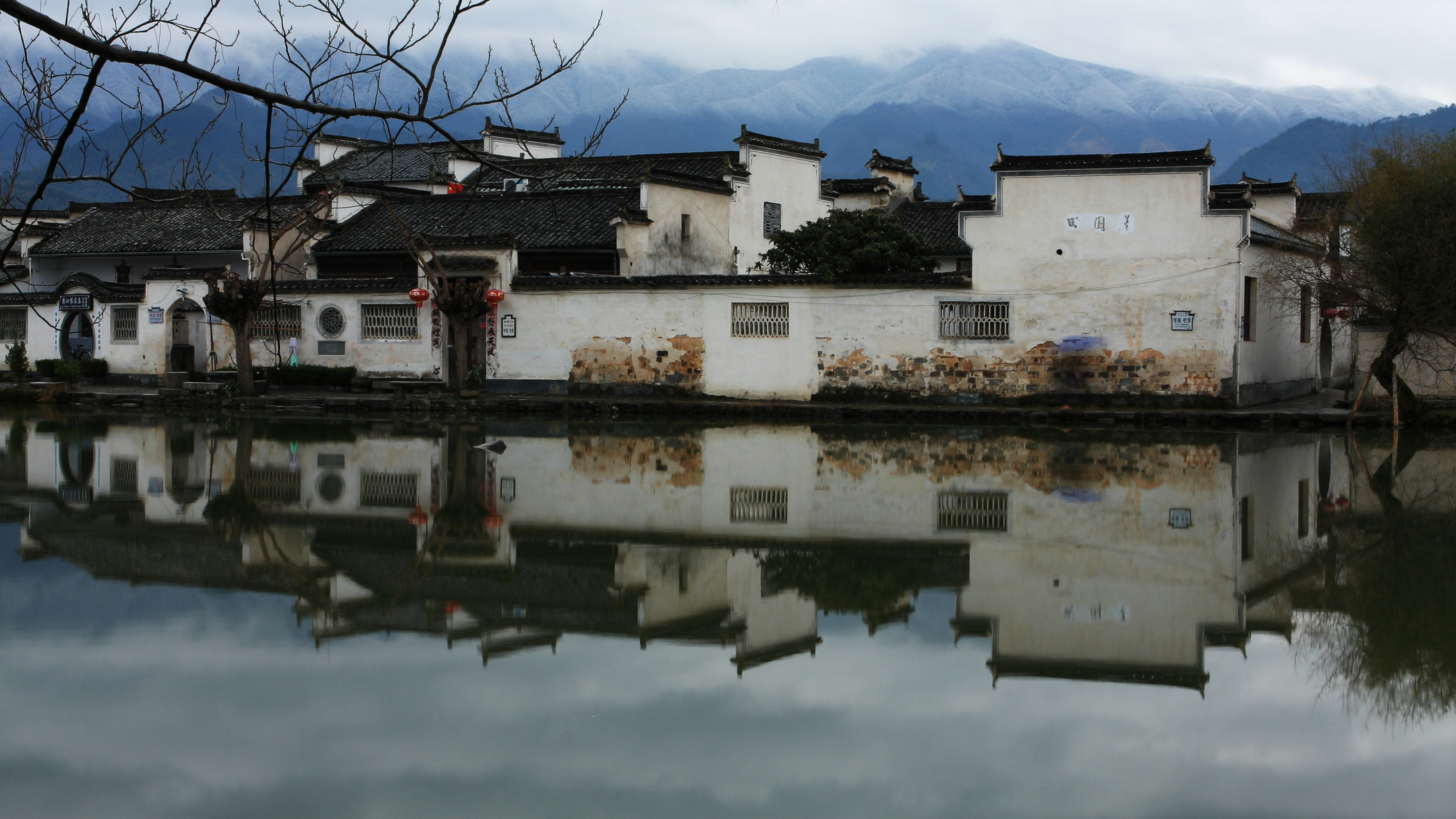 Photo by wilsonchow