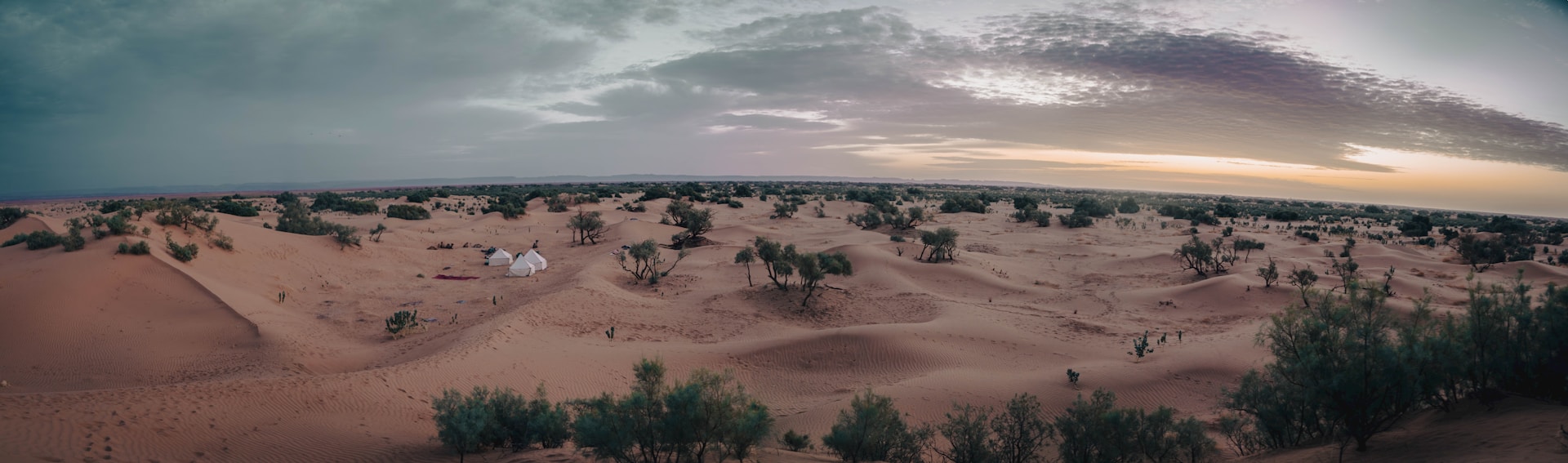 Desert landscape with scattered trees and dramatic sky.