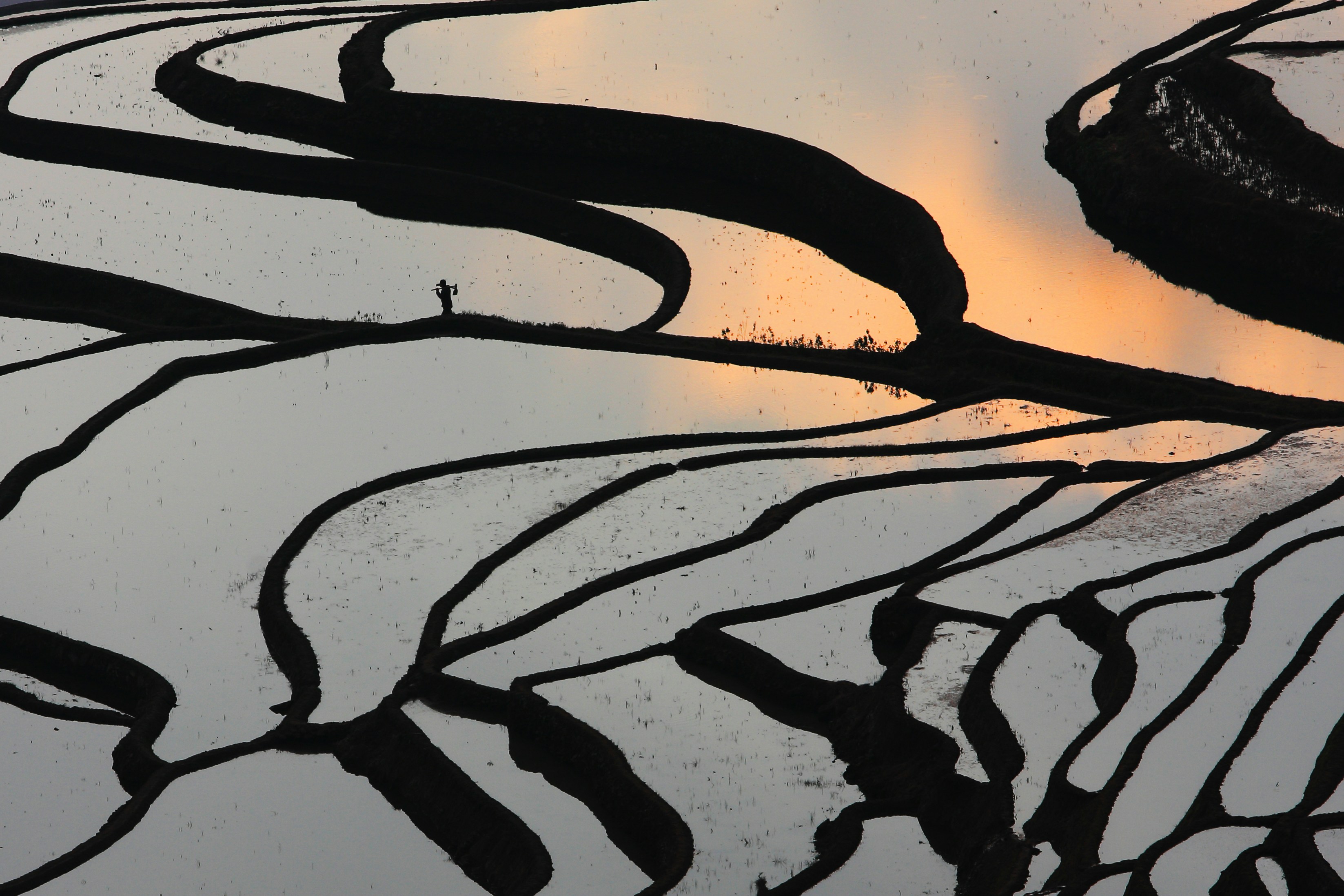 Terrace rice fields reflecting the sunset sky. Photo by Wilson Chau on Unsplash.
