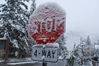 A stop sign covered in snow during winter.