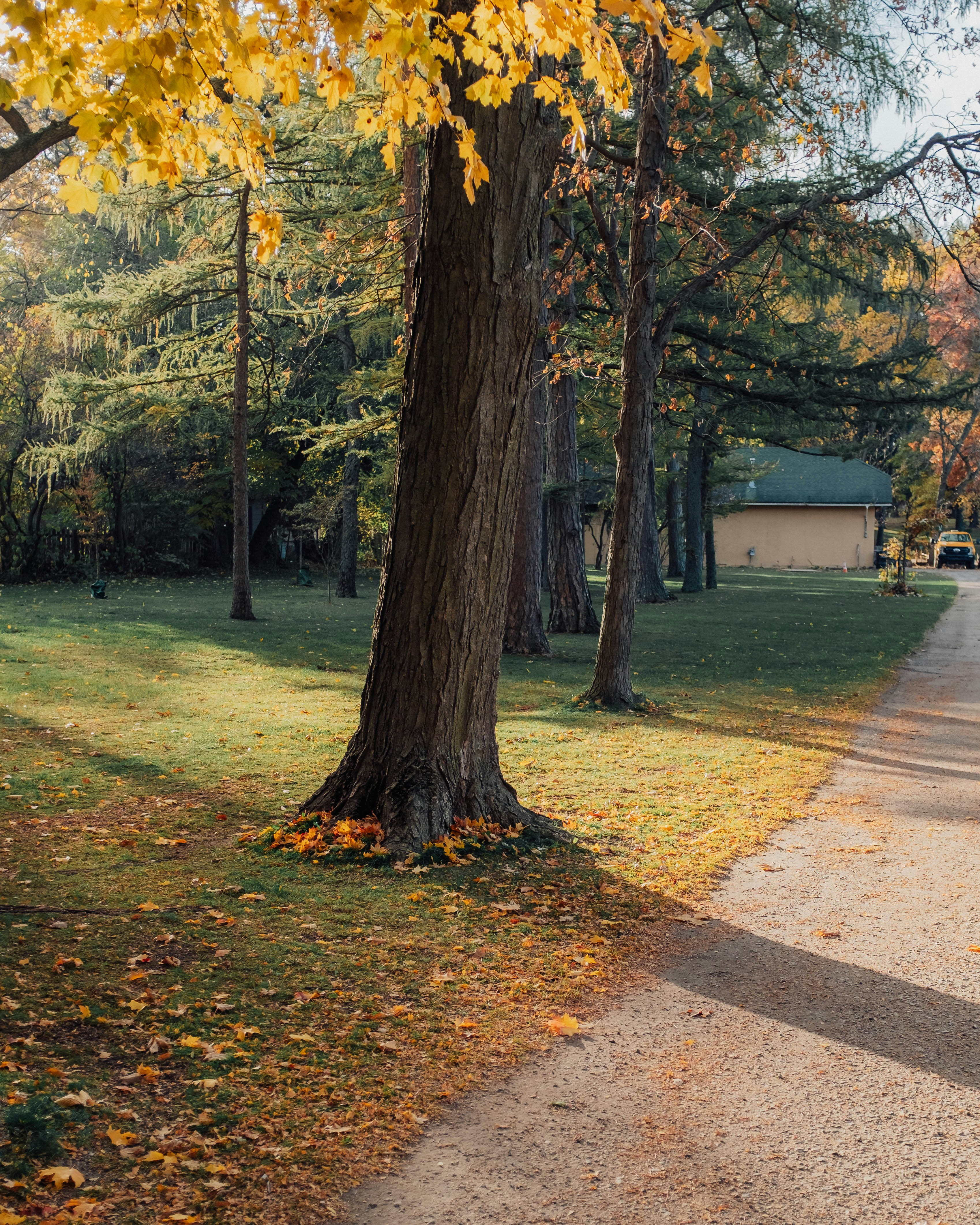 Photo by austinjphillips