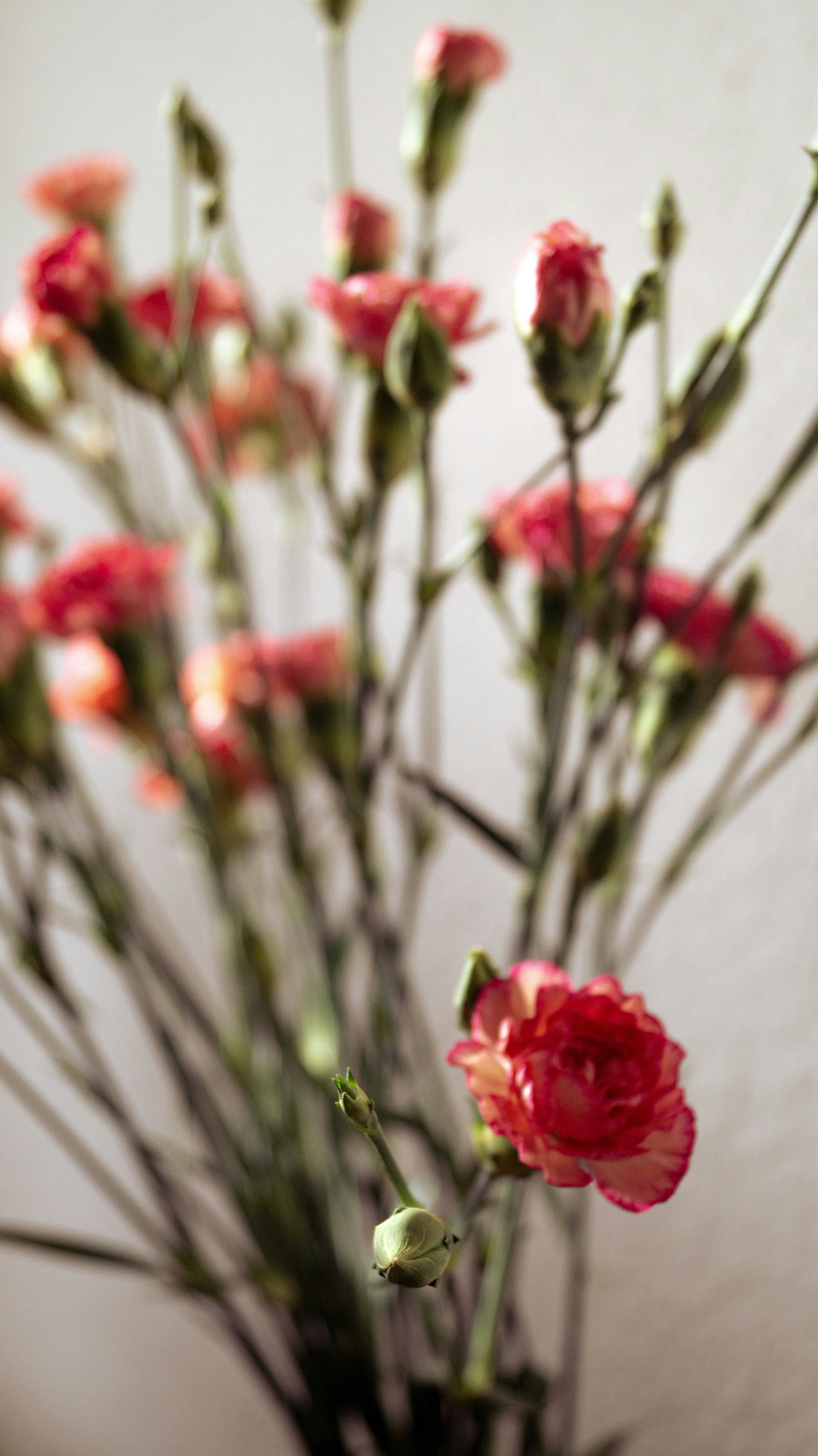 Photo by hannapisareve