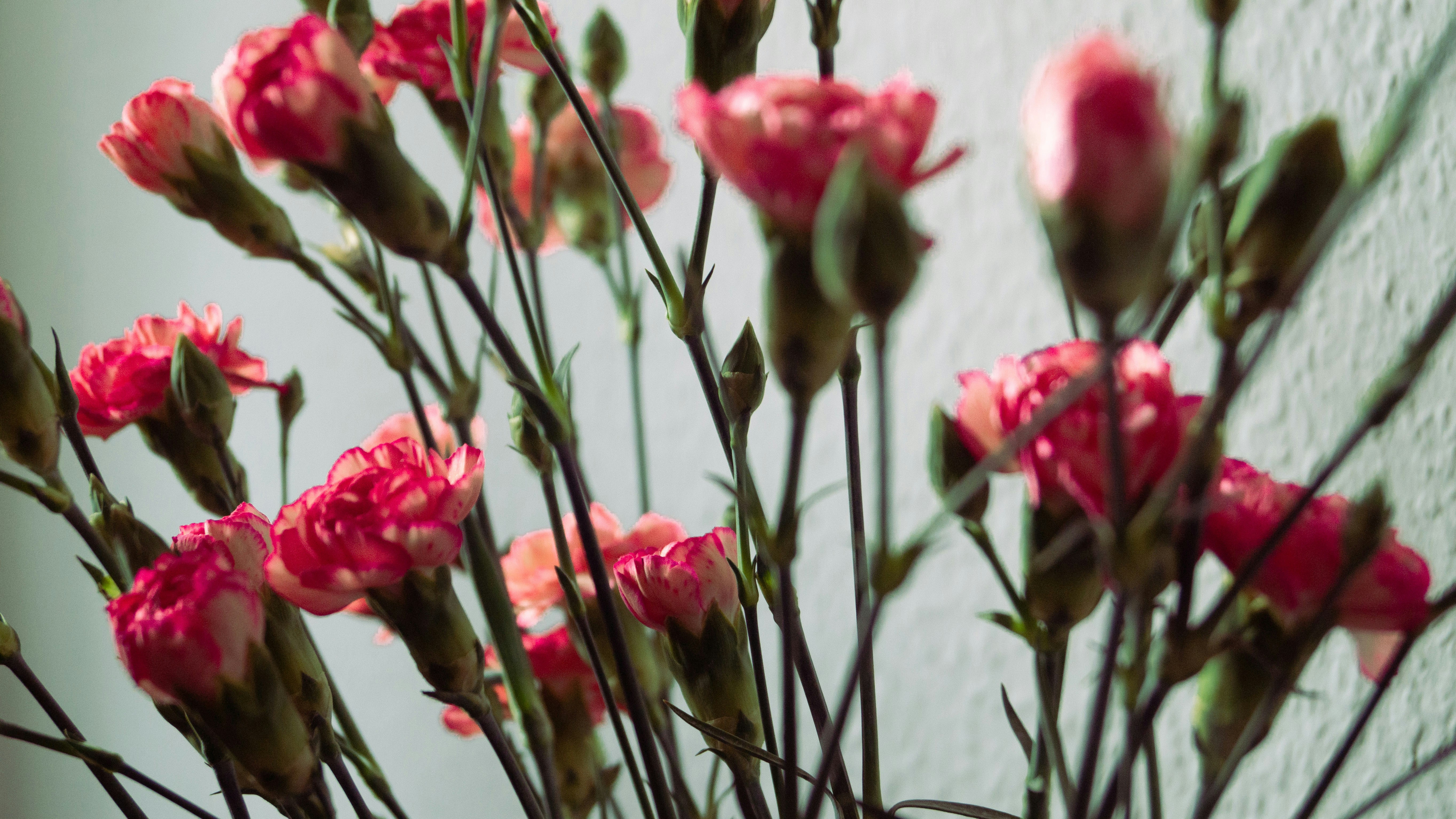 Photo by hannapisareve