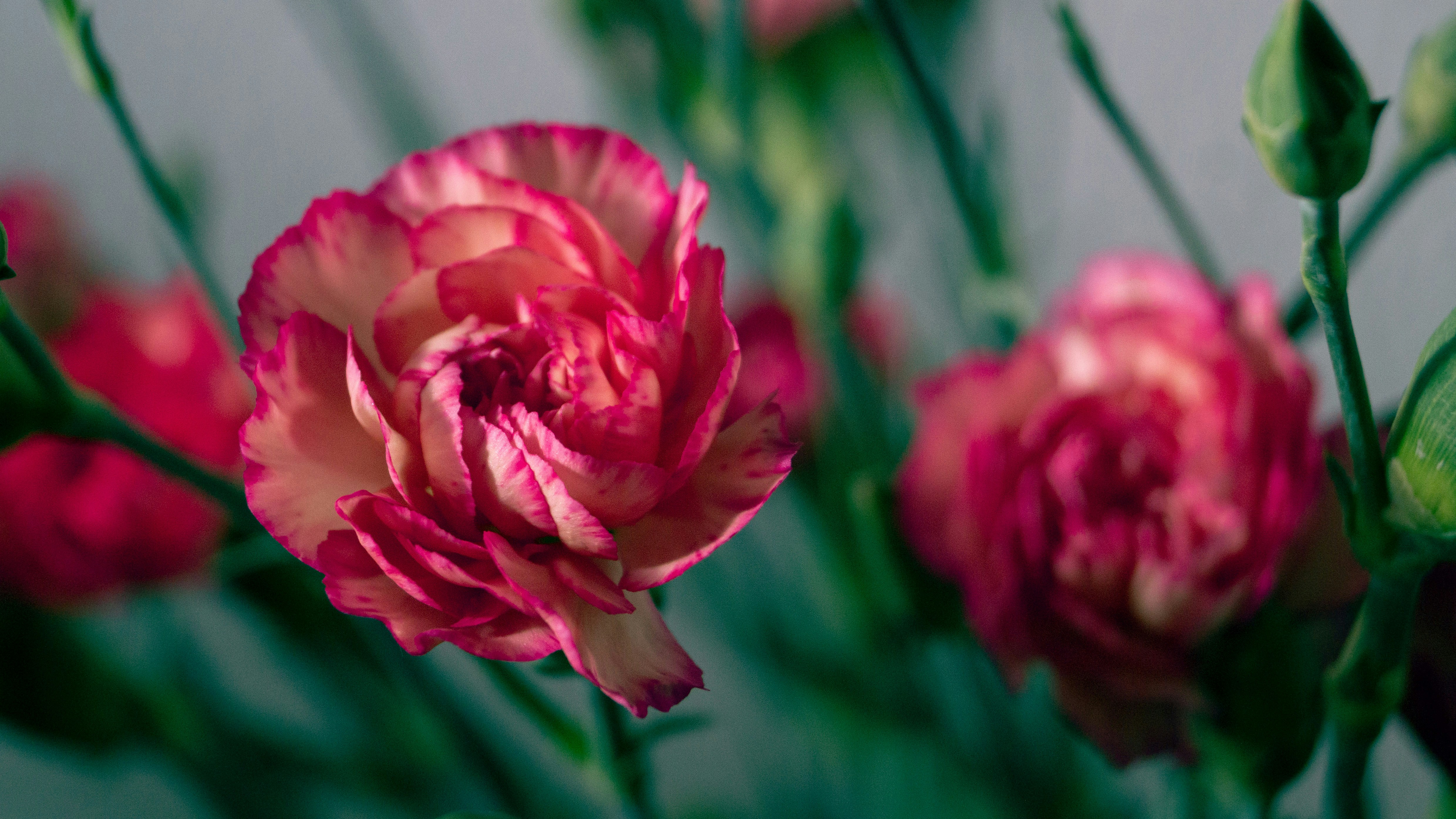 Photo by hannapisareve