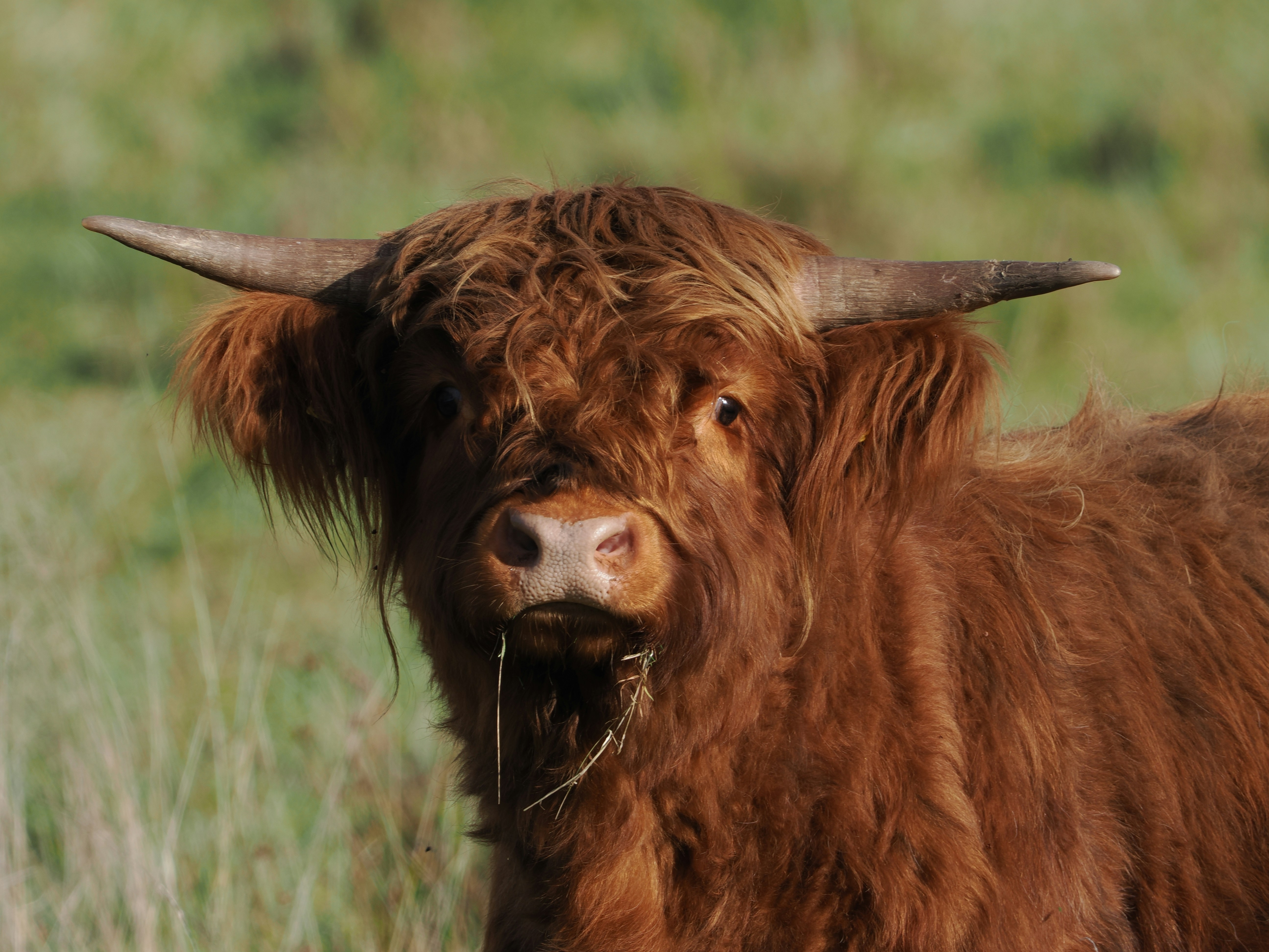 Photo by fotografie_thomas_nolte