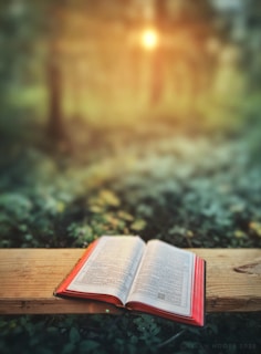 Open book resting on a wooden surface outdoors.