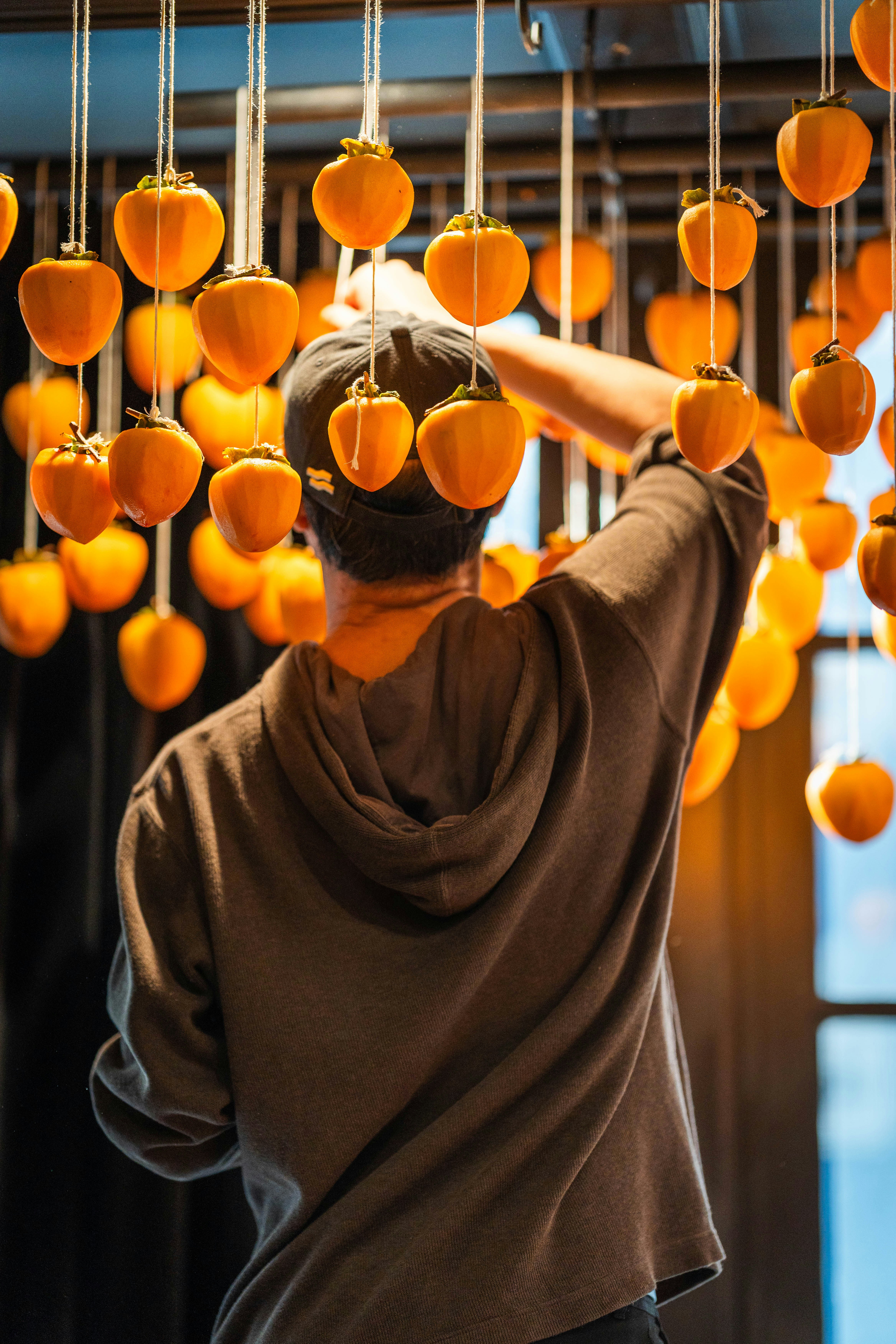 Person hanging persimmons in a display.