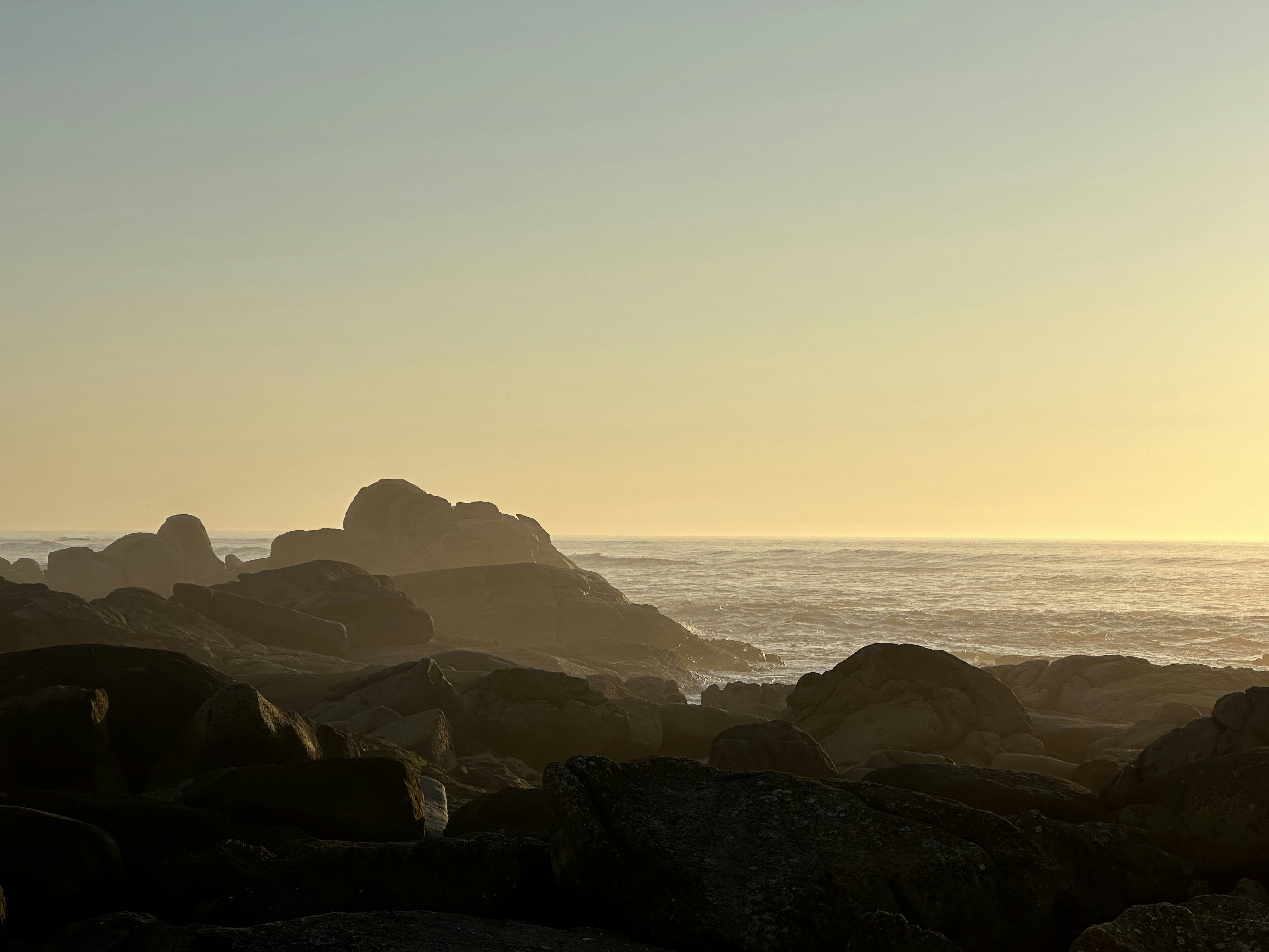 Photo by sergei_gussev