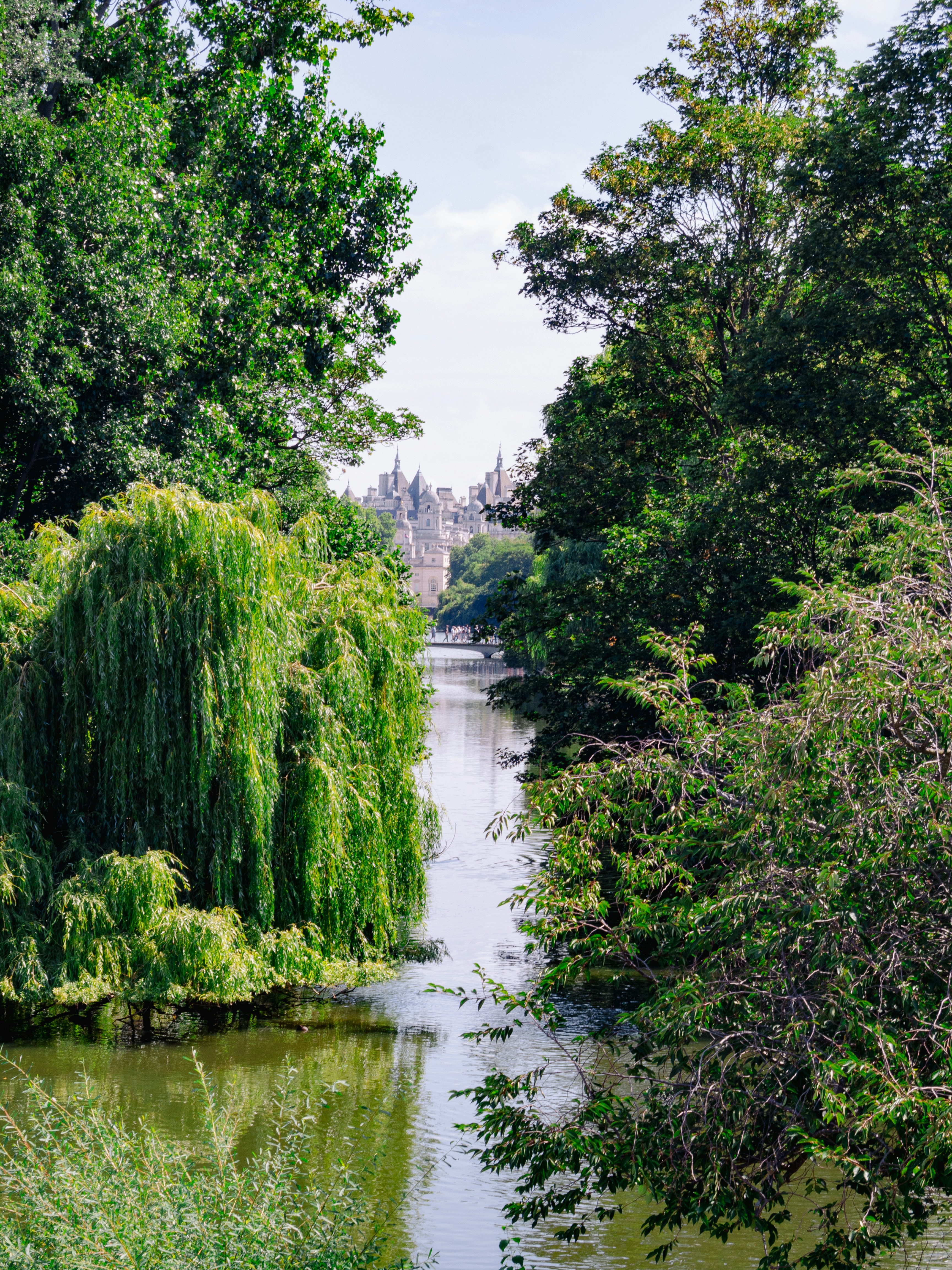 A tranquil river flows through lush green trees.