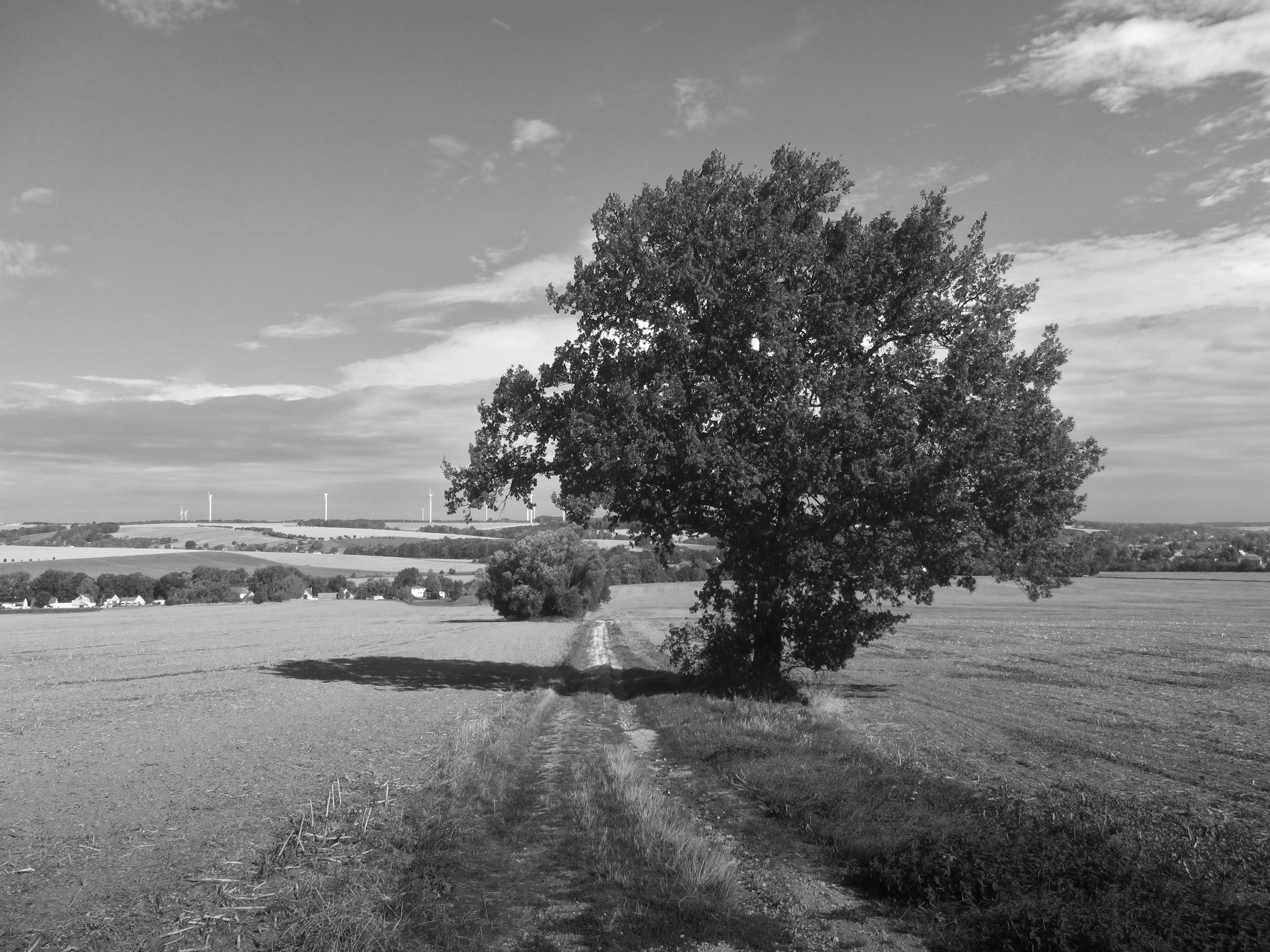 Photo by nikodemus777