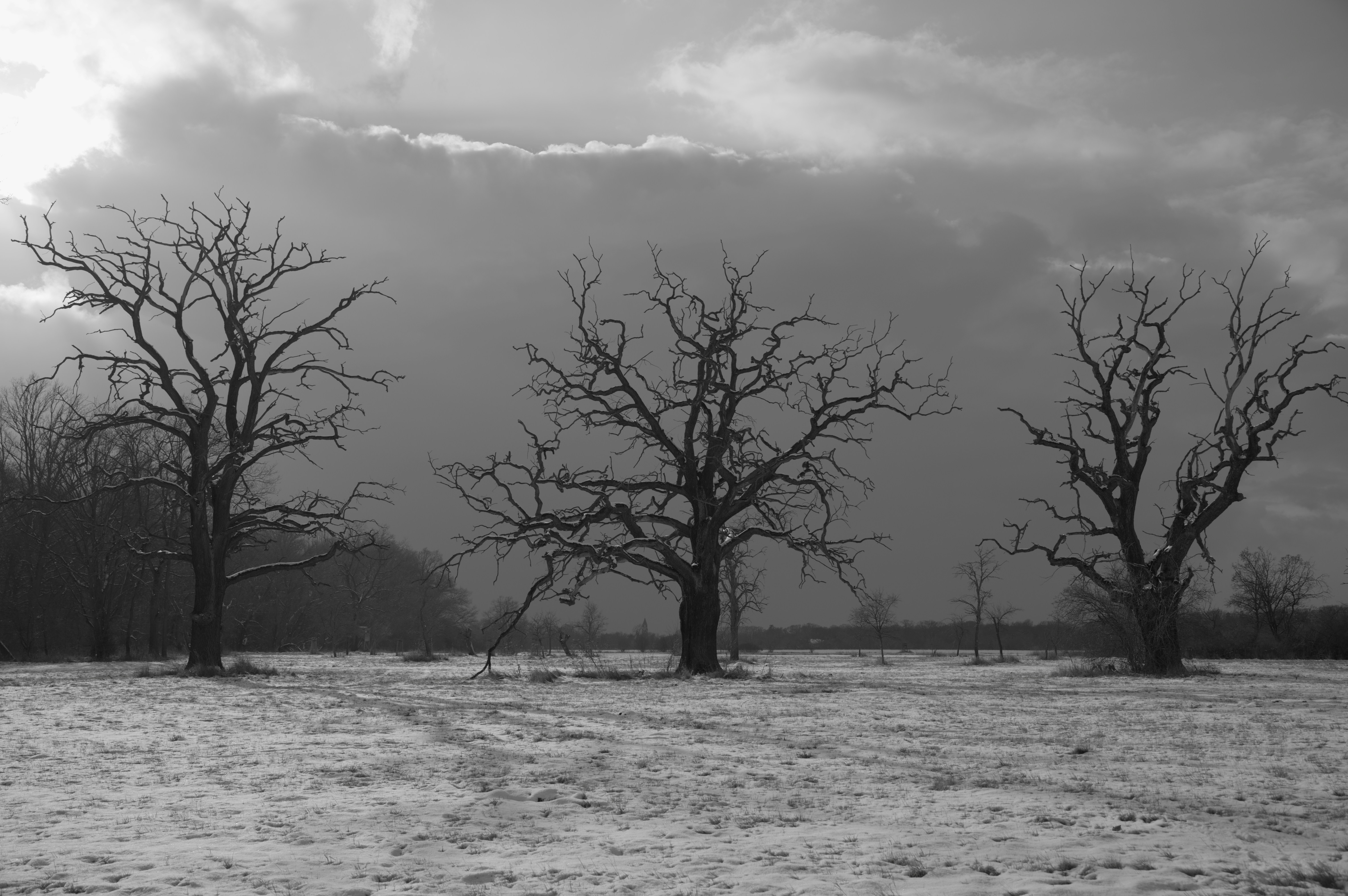 Photo by valentin_karisch