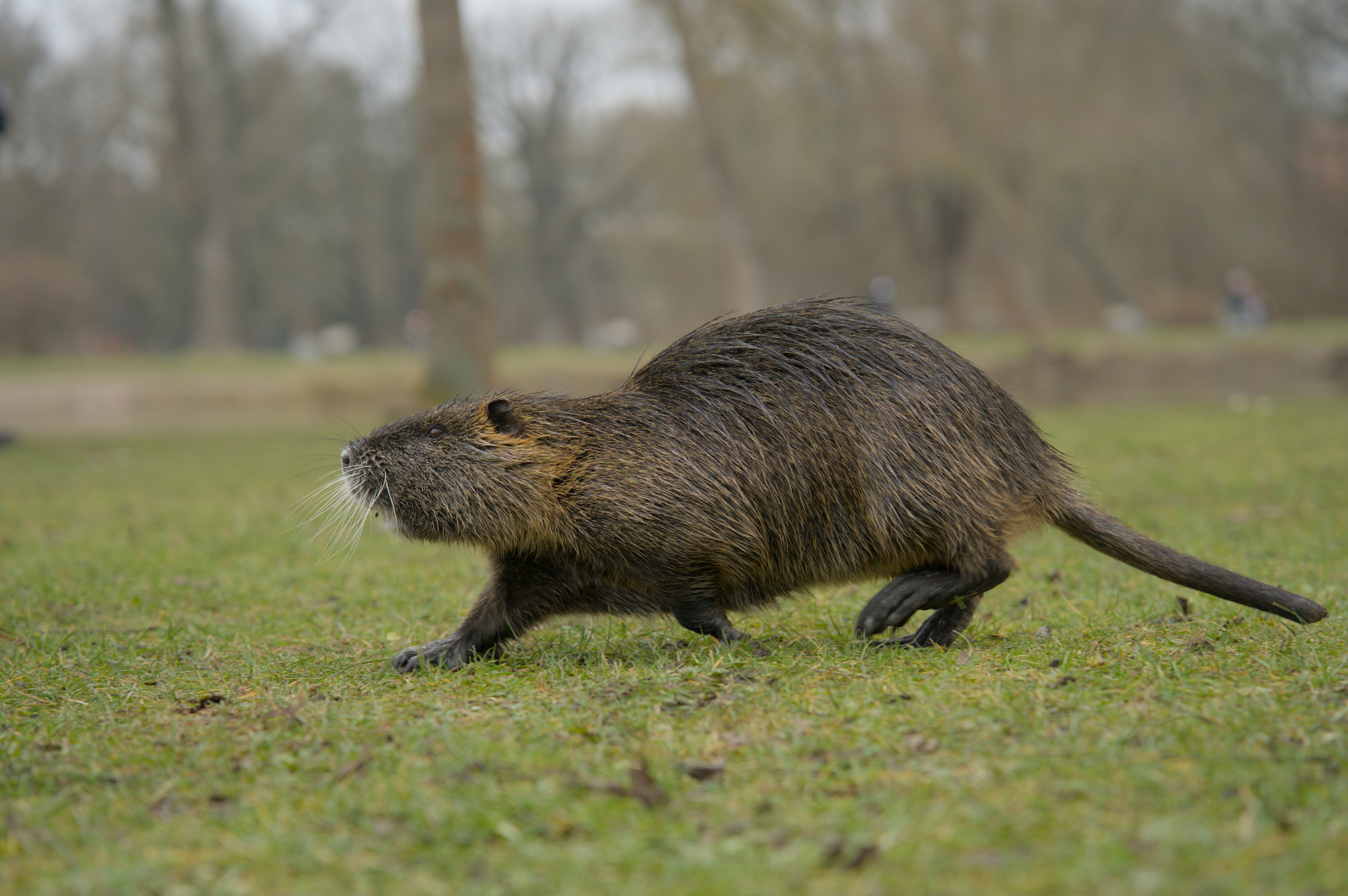 Photo by valentin_karisch