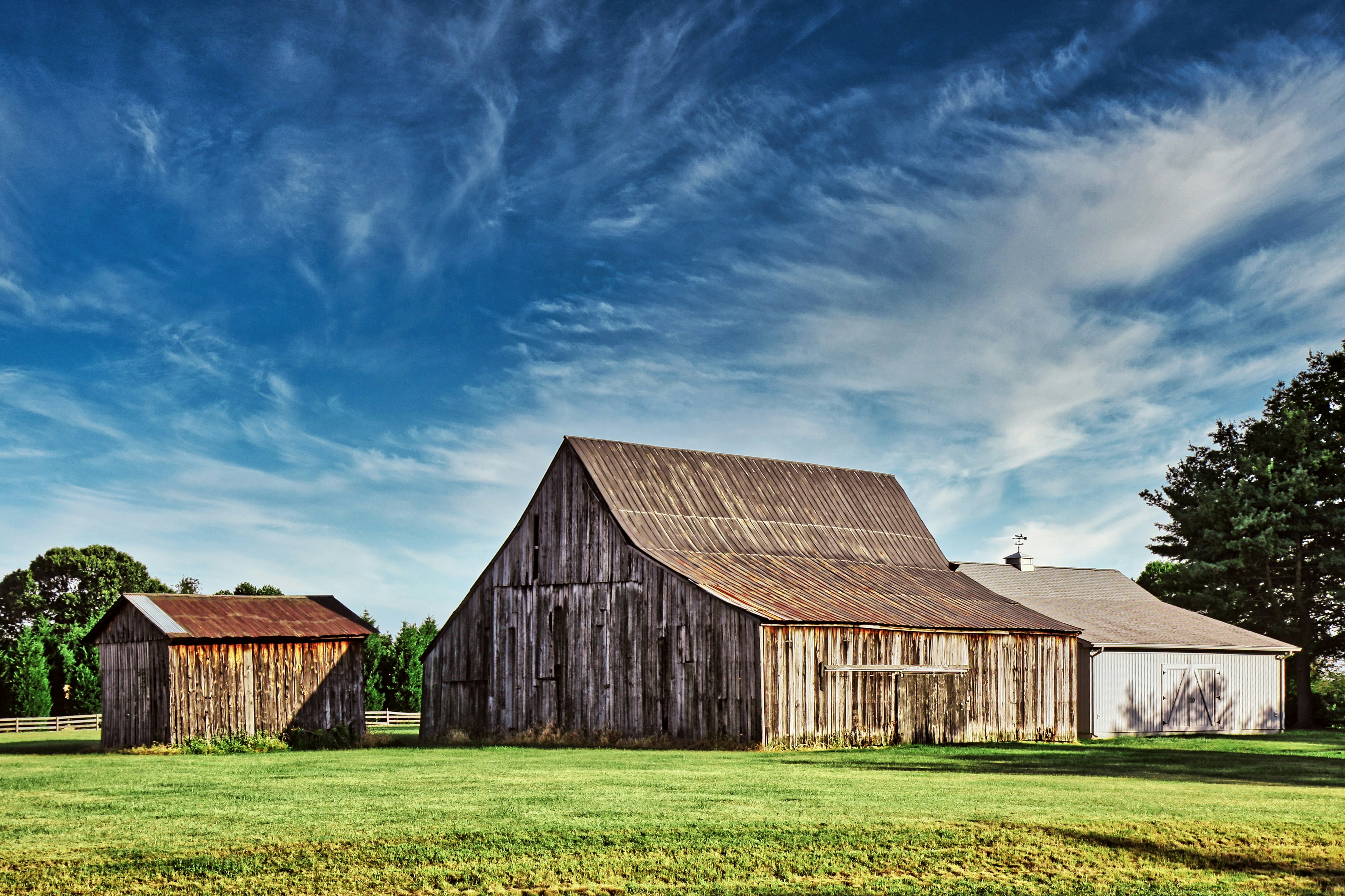 Photo by john_cardamone