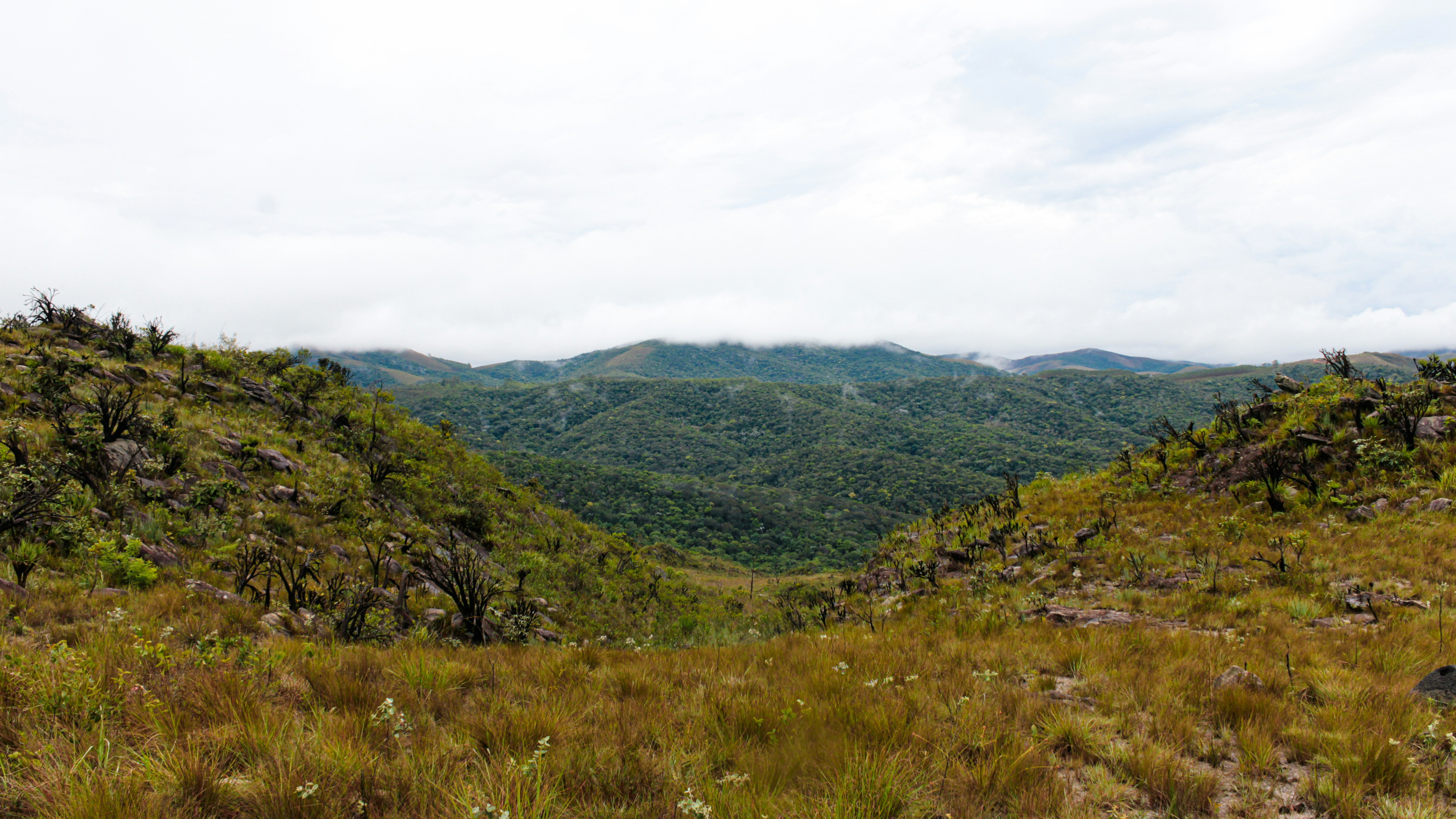 Photo by photos_muka