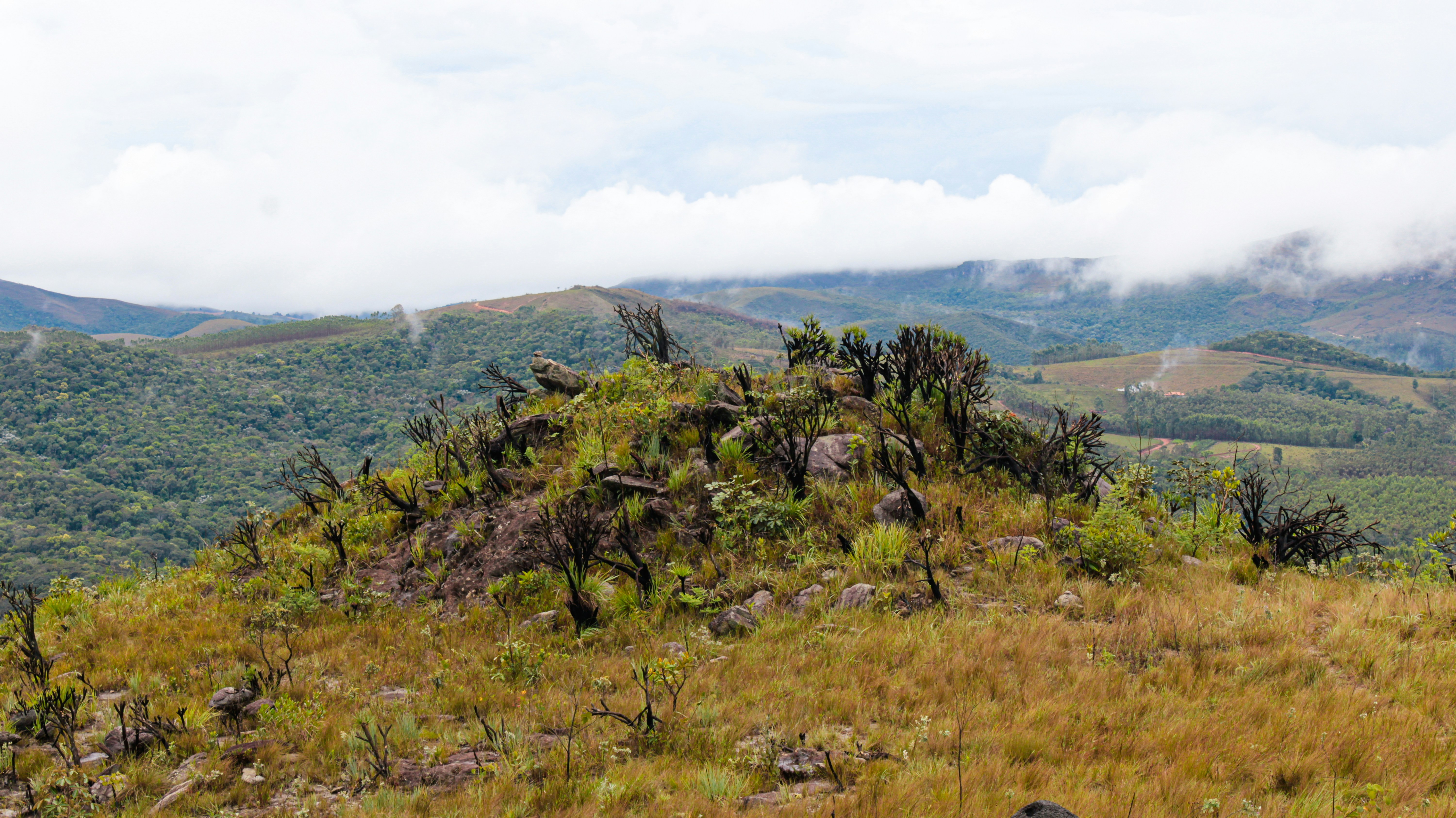 Photo by photos_muka