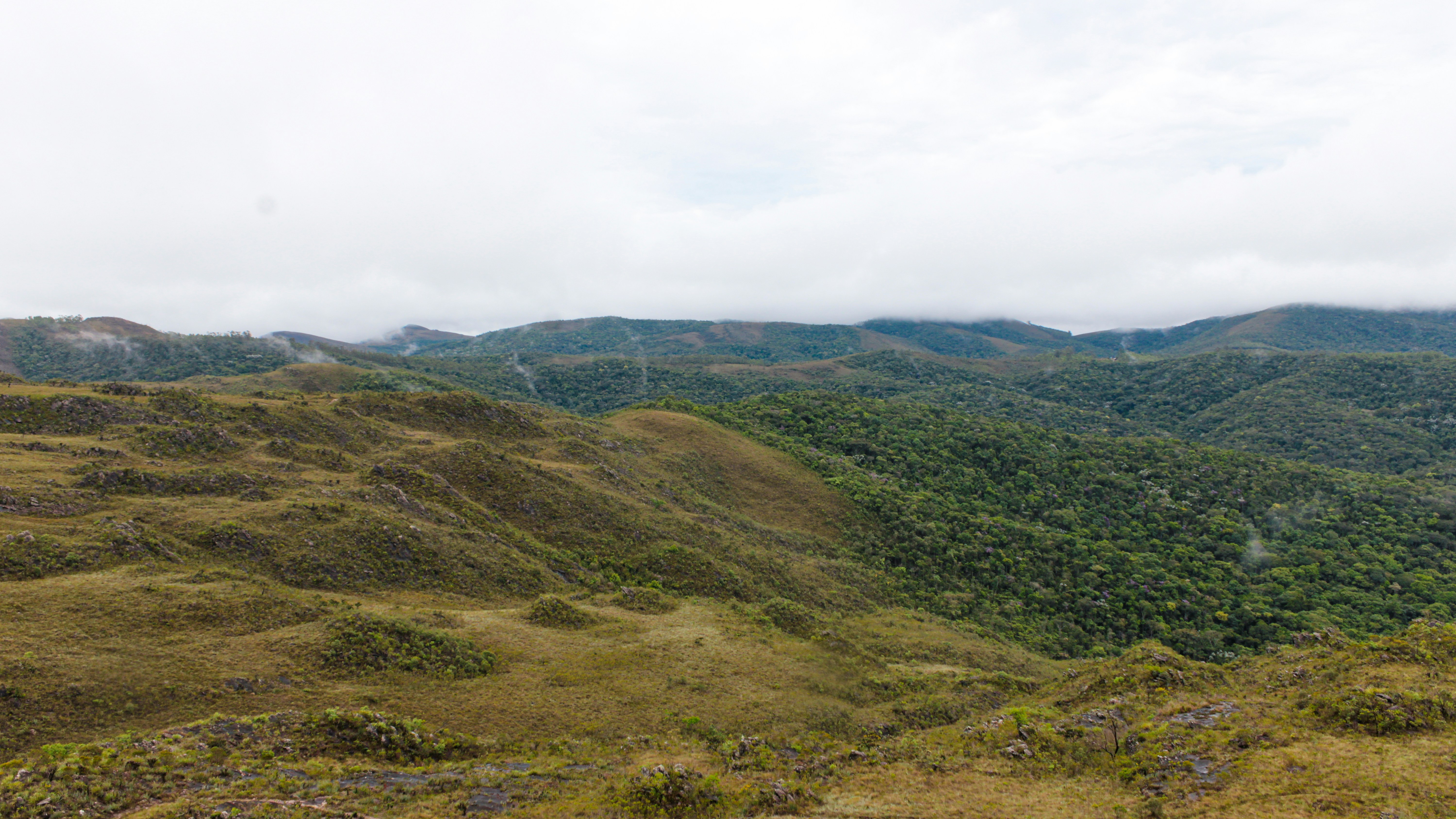 Photo by photos_muka