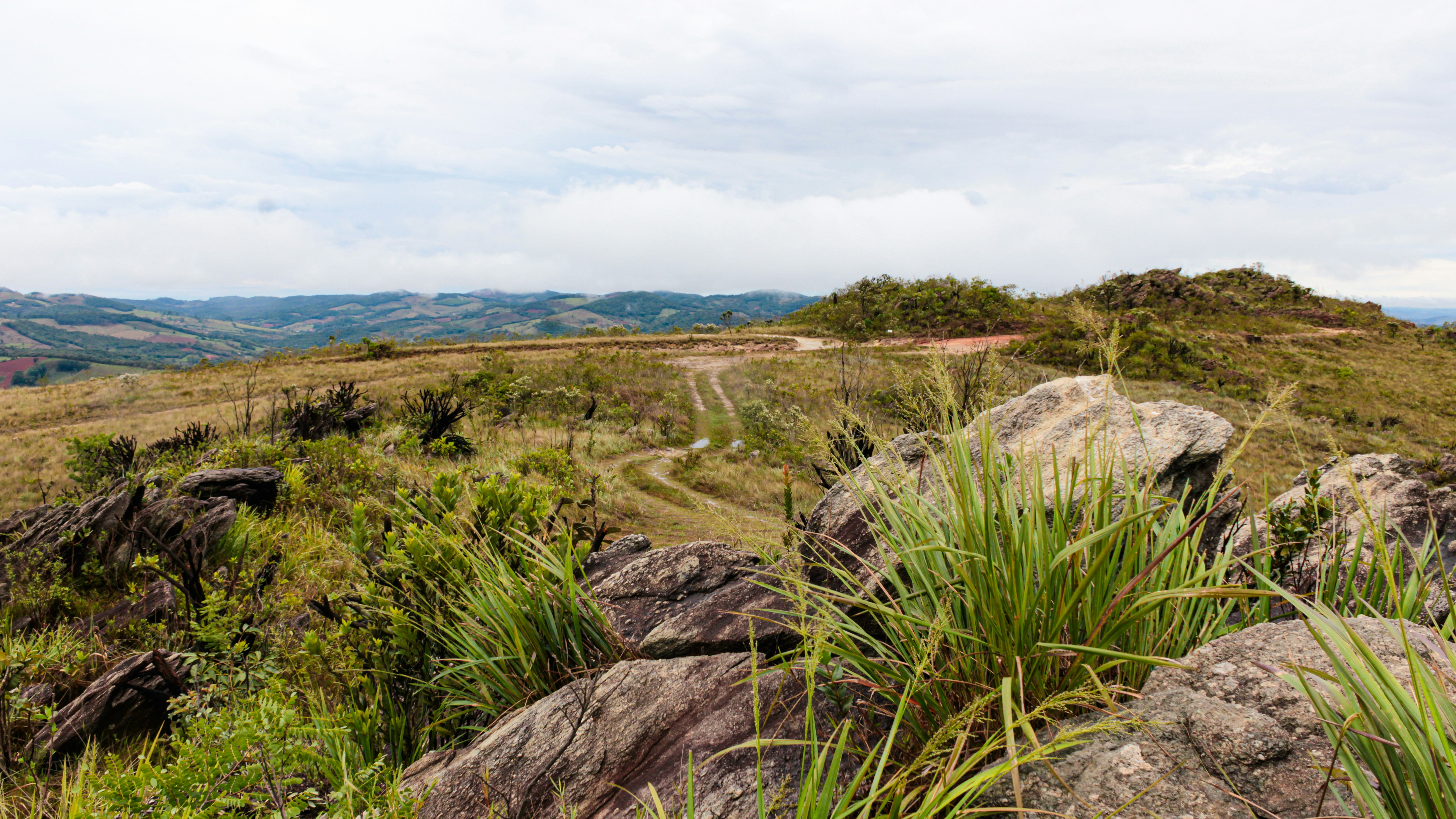 Photo by photos_muka