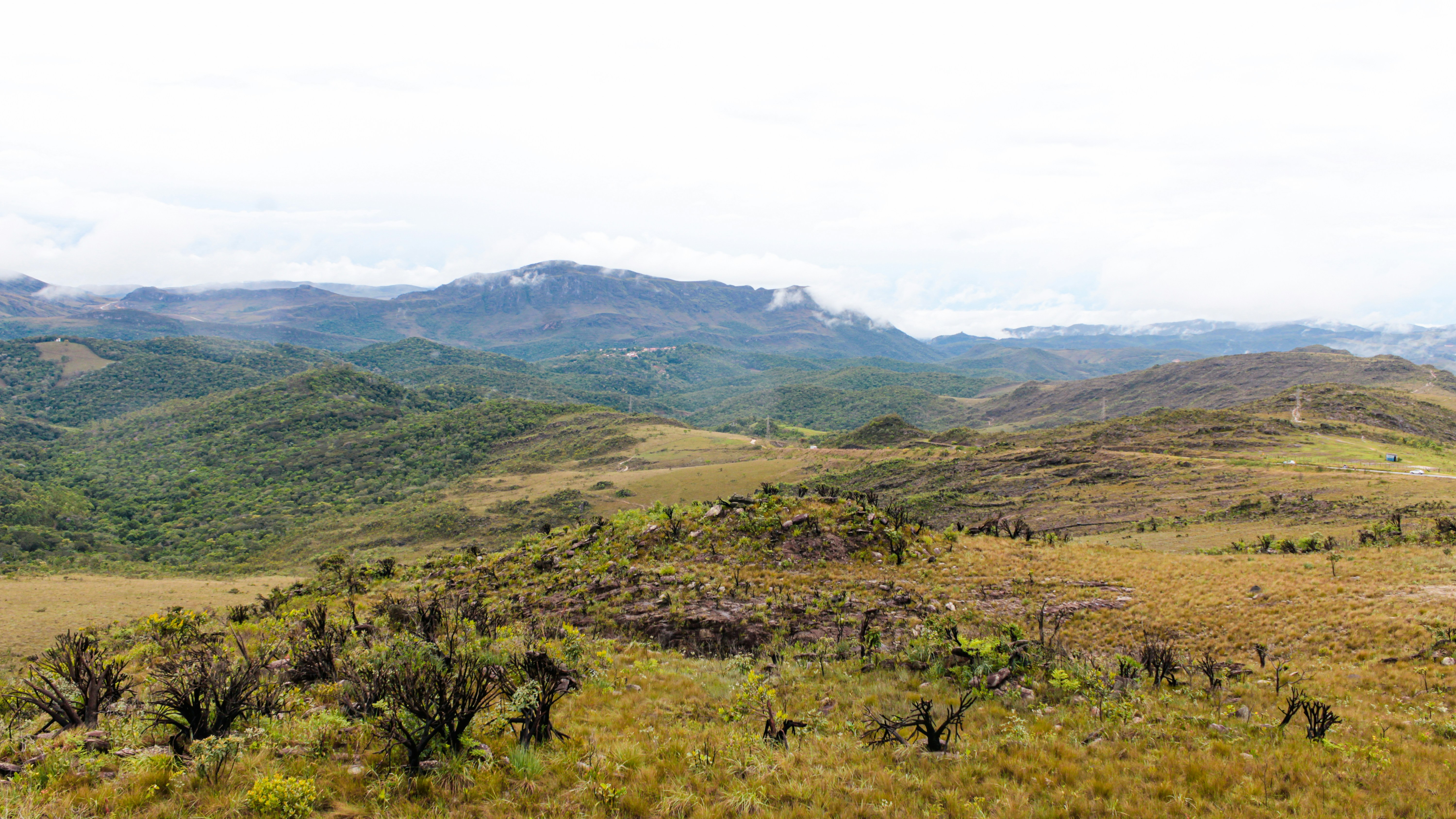 Photo by photos_muka