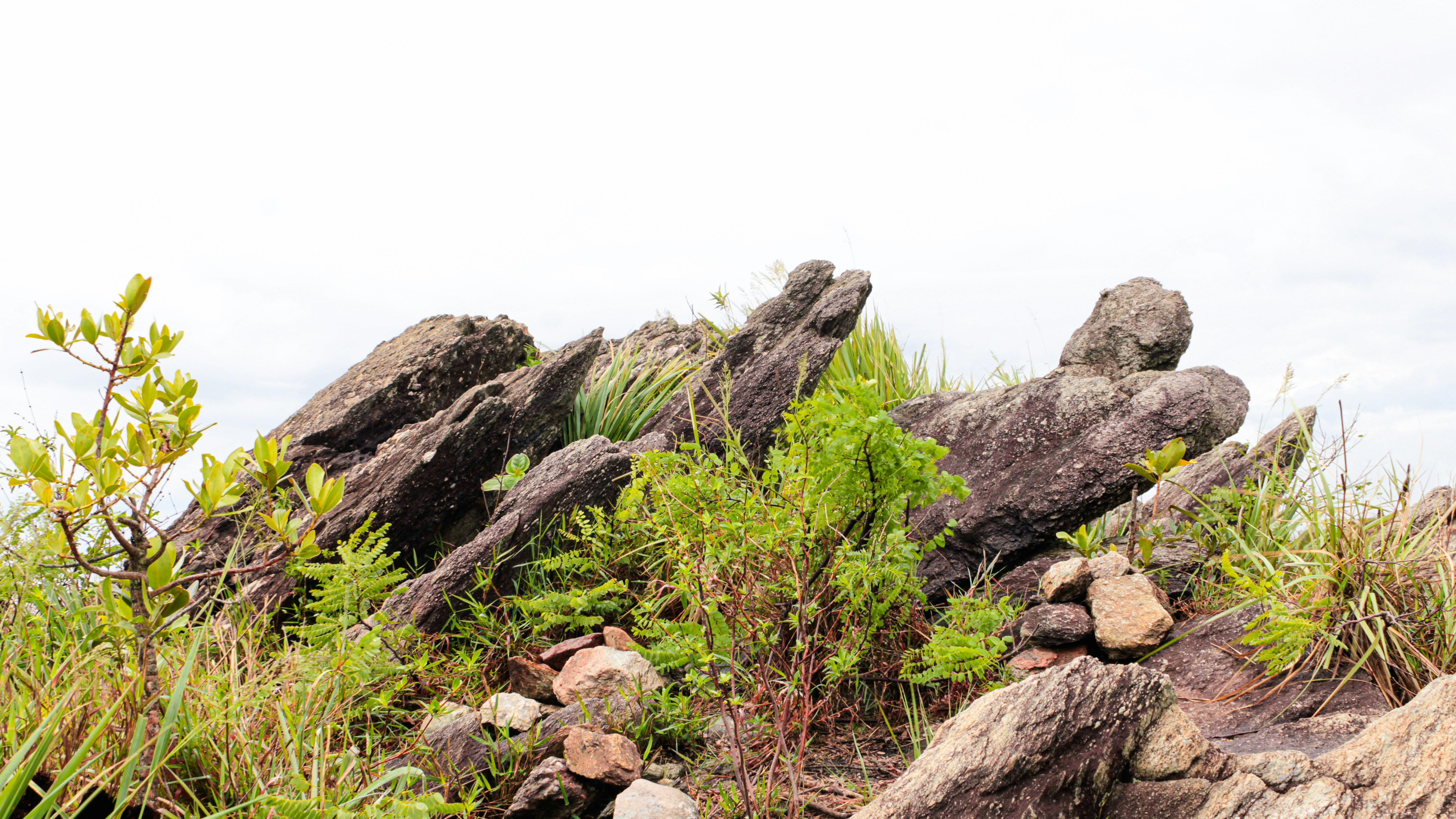 Photo by photos_muka