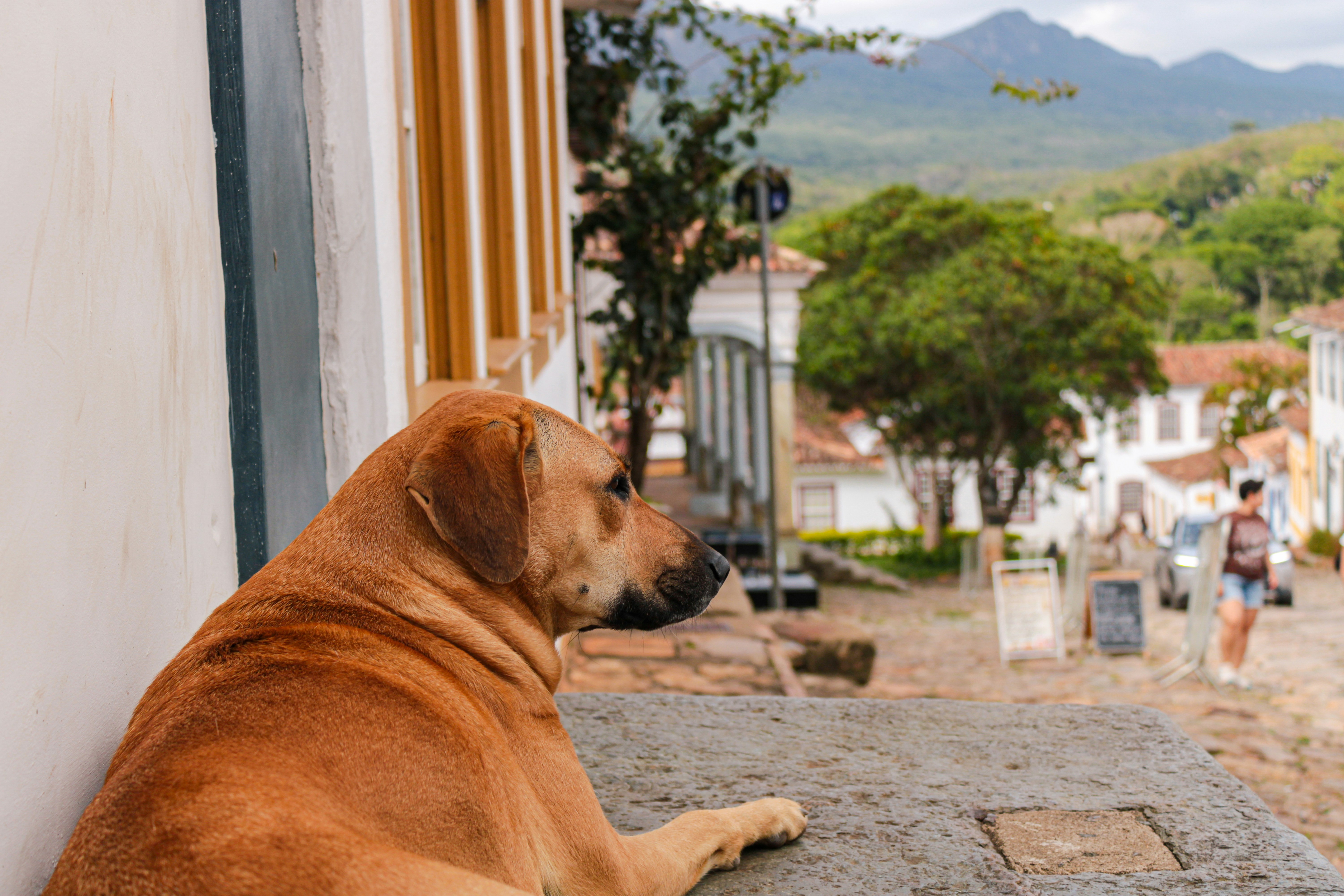 Photo by photos_muka