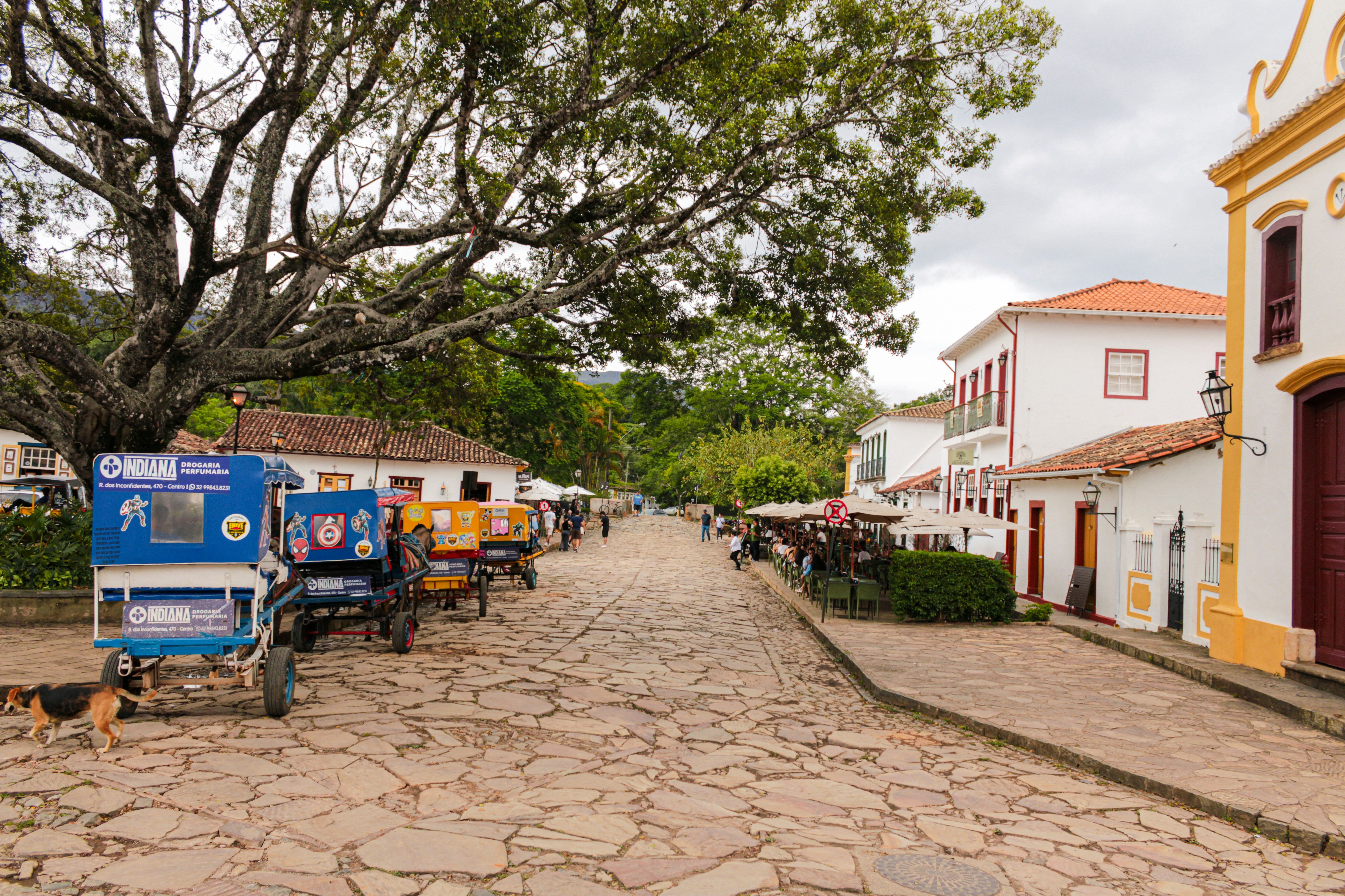 Photo by photos_muka