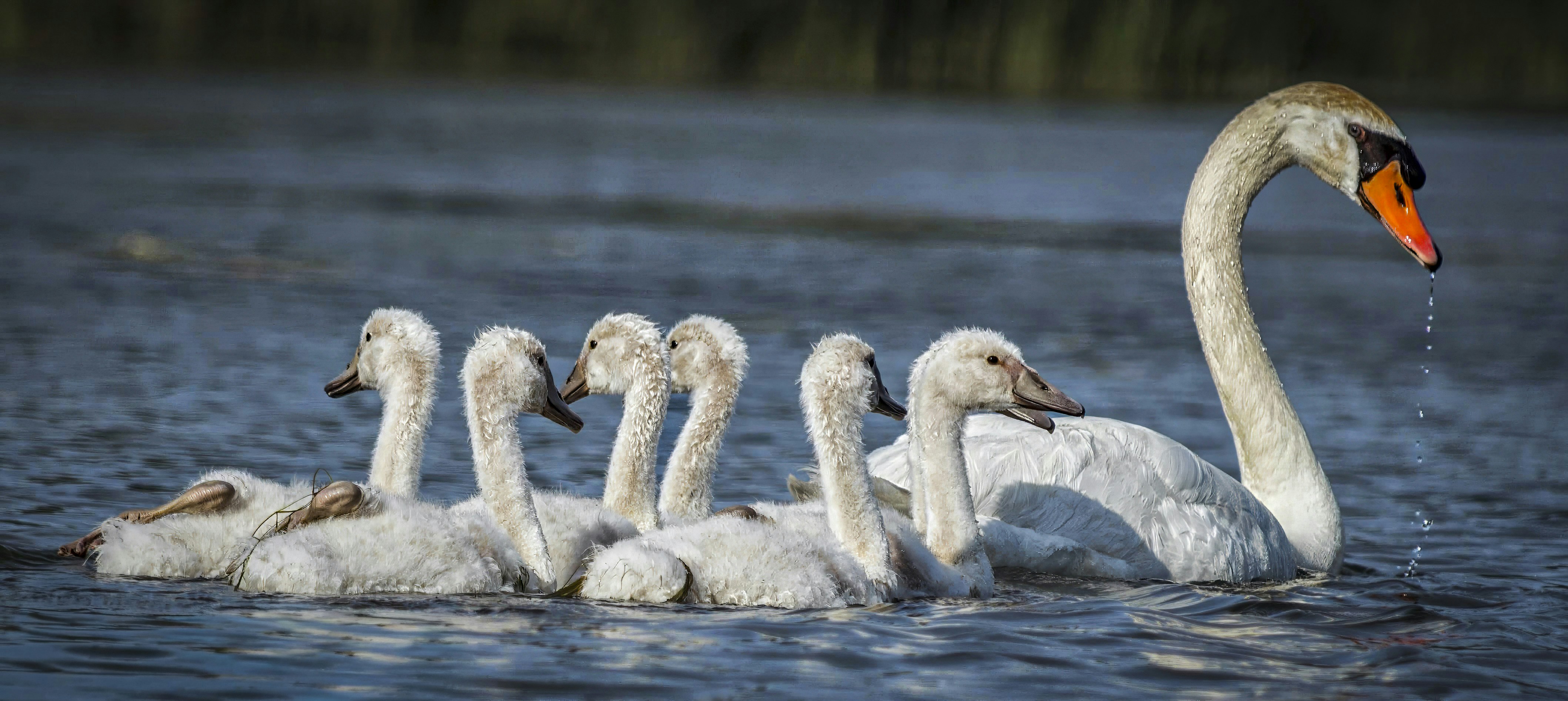 Photo by glenniceburns